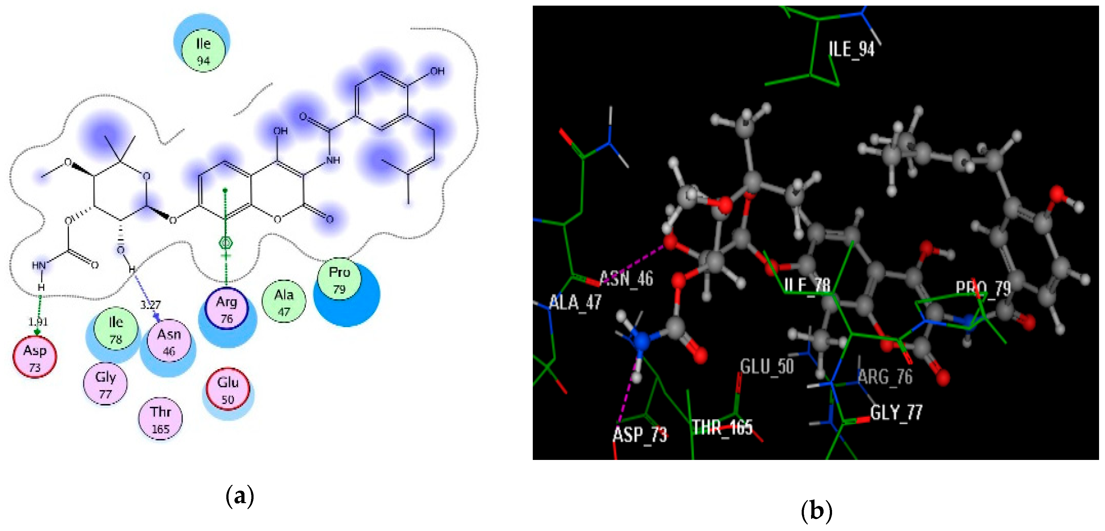 Antibiotics 09 00695 g003