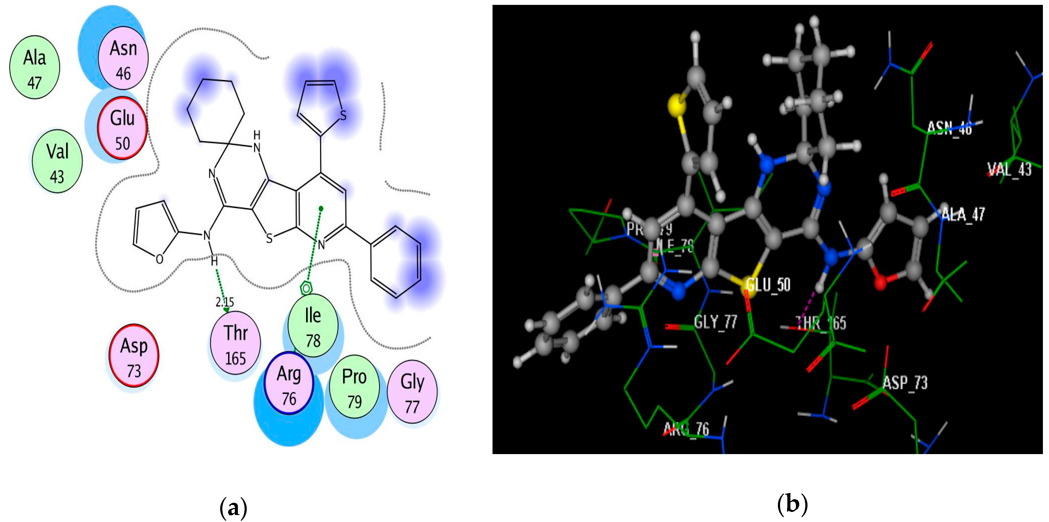 Antibiotics 09 00695 g004