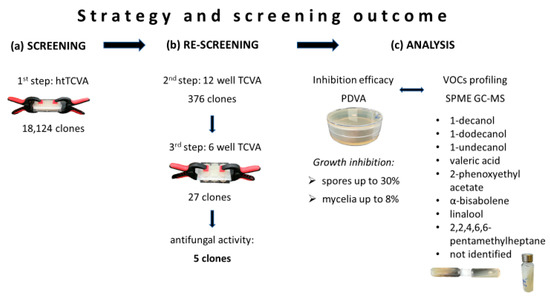 Antibiotics Free Full Text A New High Throughput Screening Method To Detect Antimicrobial Volatiles From Metagenomic Clone Libraries Html