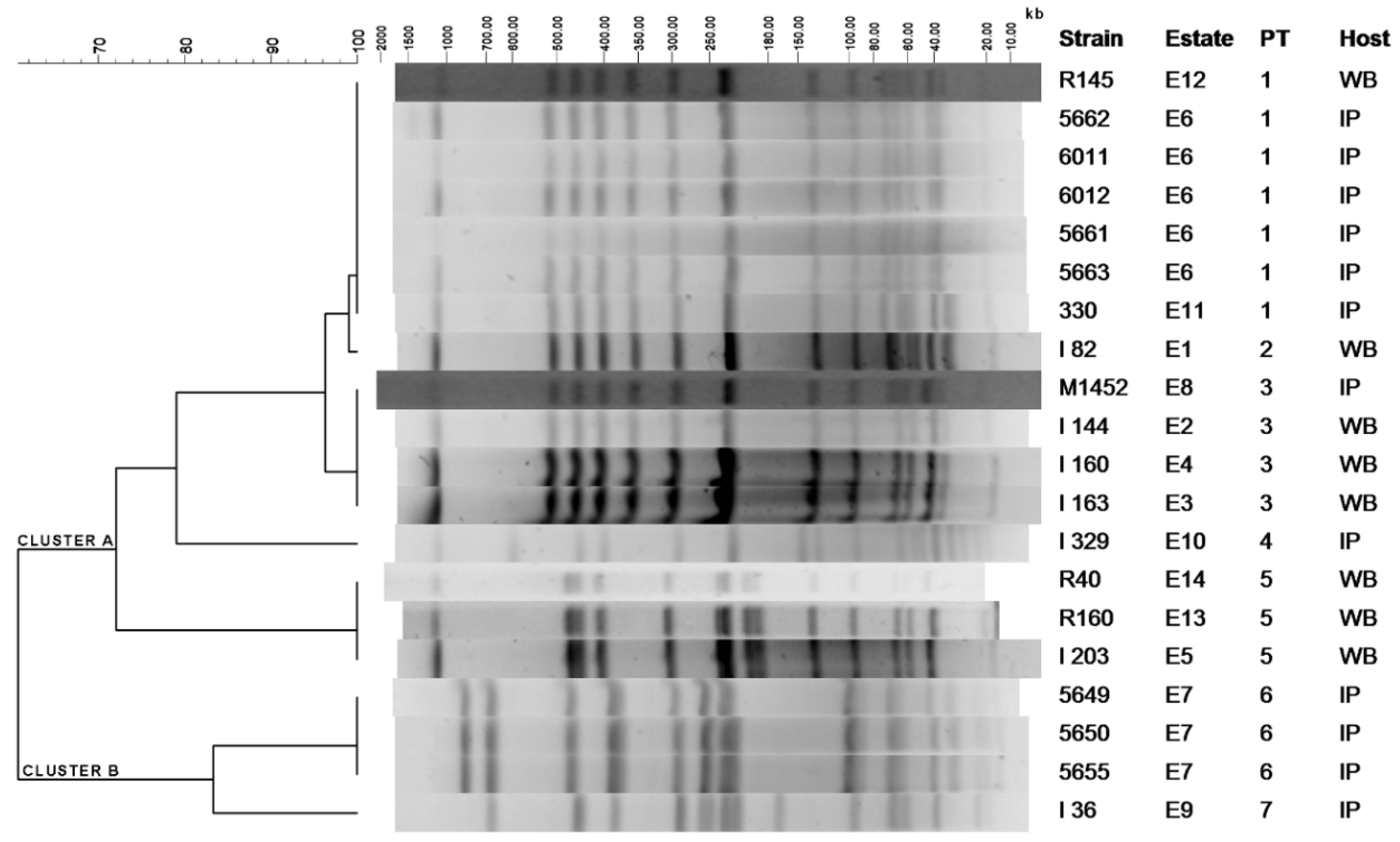Antibiotics 09 00750 g001