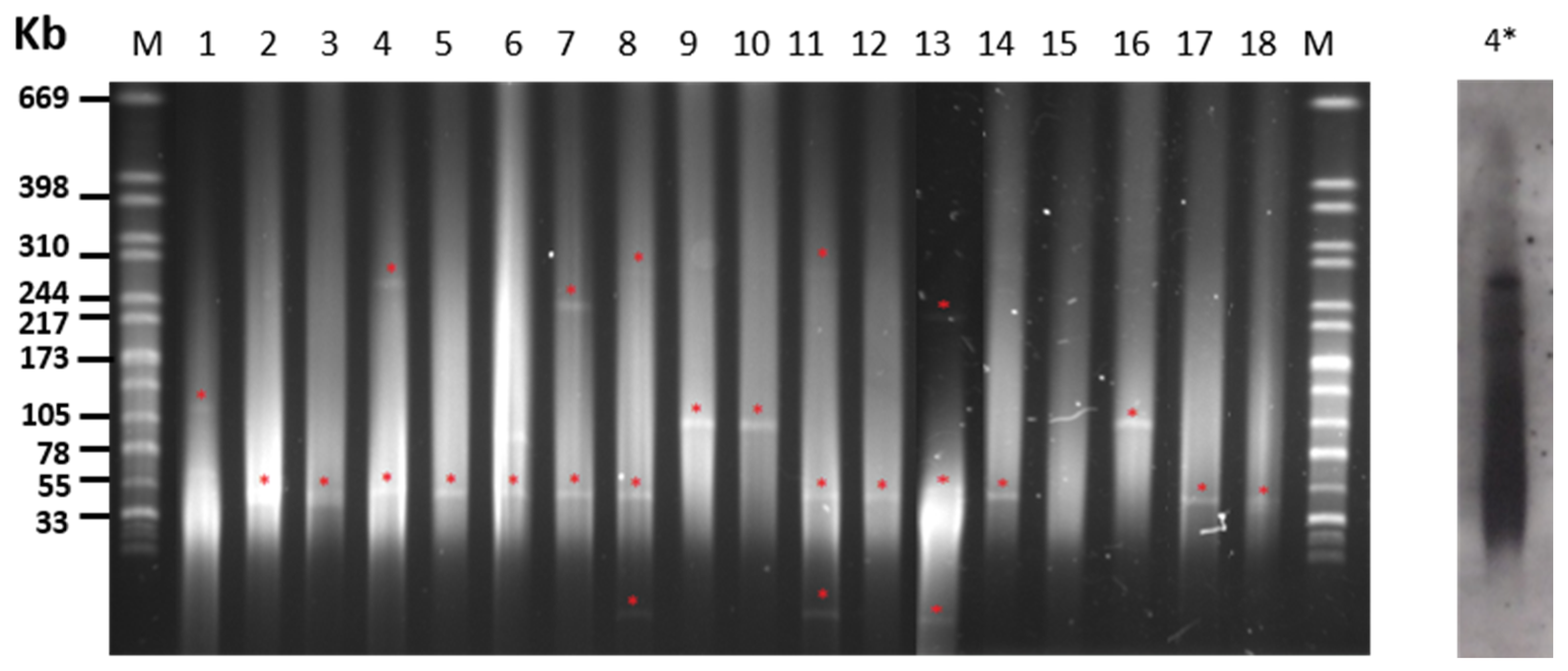 Antibiotics 09 00750 g002