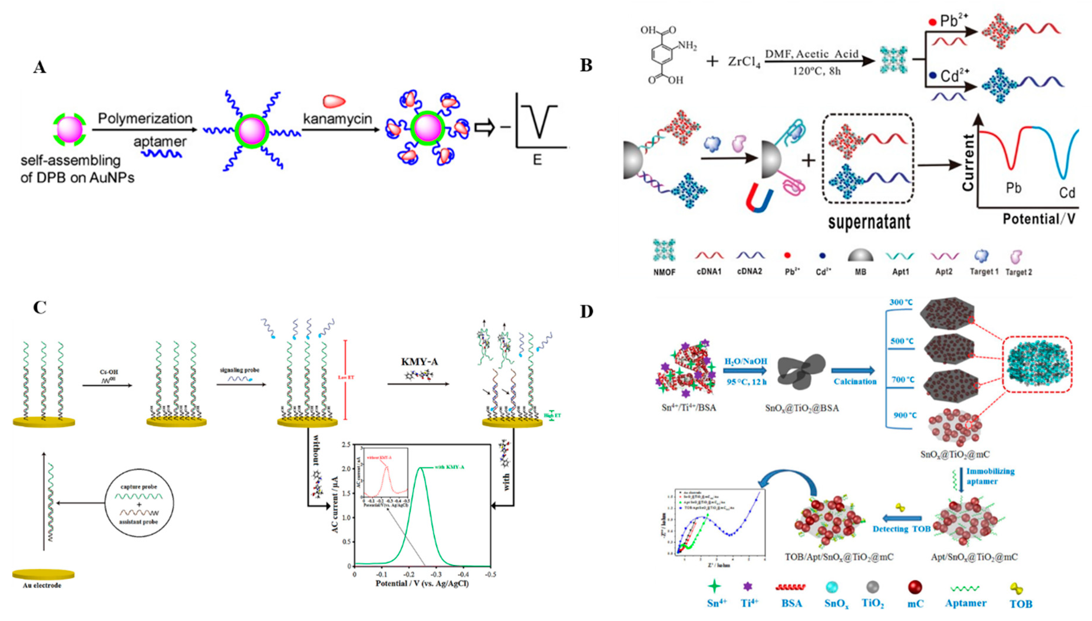 Antibiotics 09 00787 g005