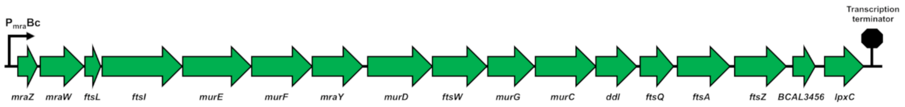 Antibiotics 09 00841 g001 Antibiotics 09 00841 g001