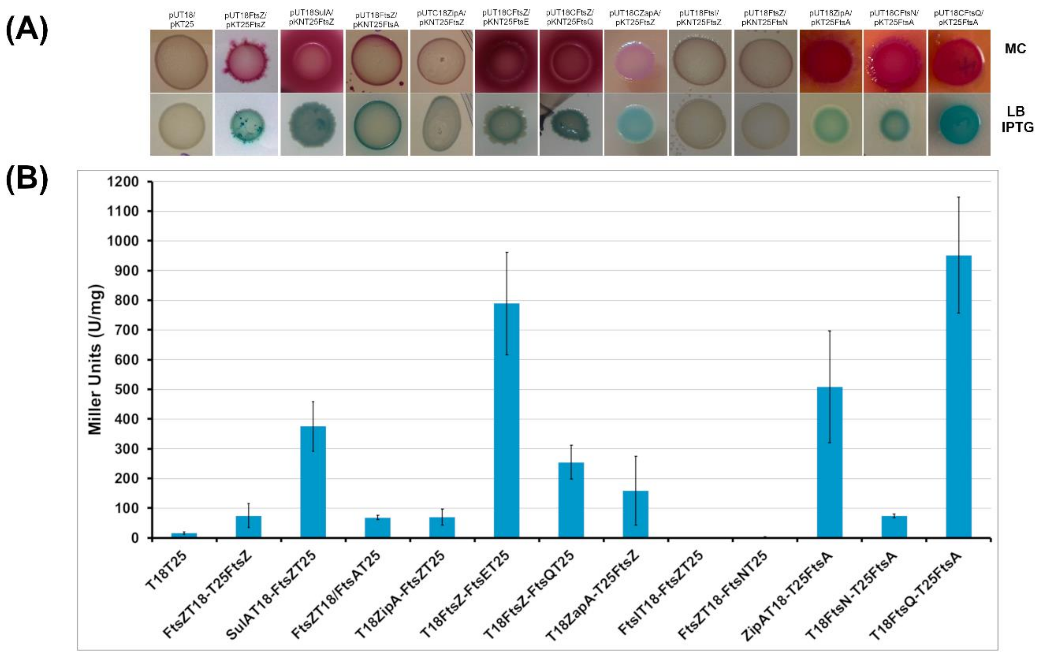 Antibiotics 09 00841 g005 Antibiotics 09 00841 g005