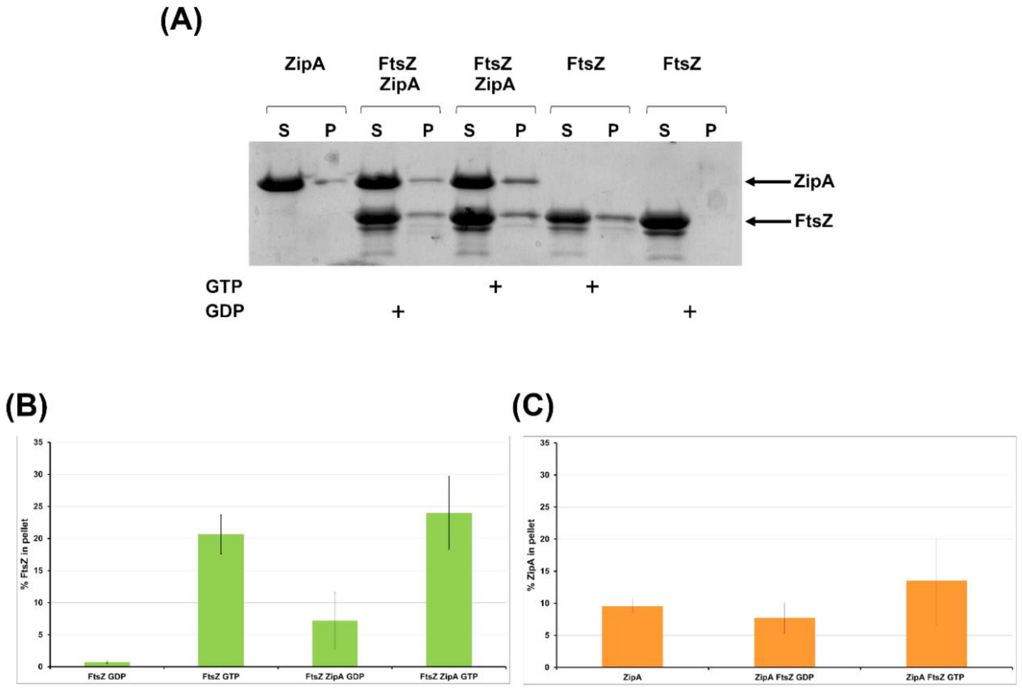 Antibiotics 09 00841 g008 Antibiotics 09 00841 g008