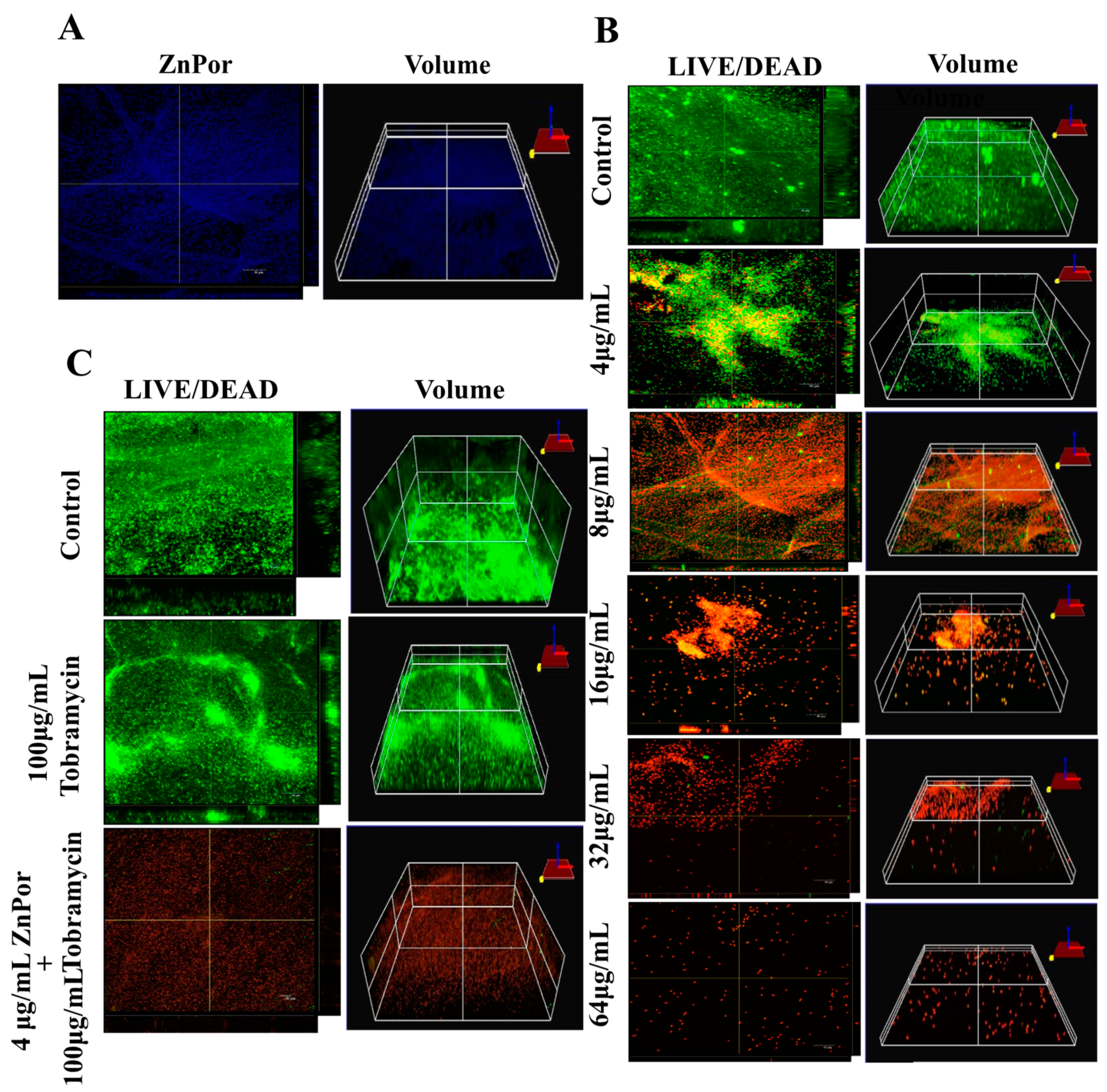 Antibiotics 09 00875 g002 Antibiotics 09 00875 g002