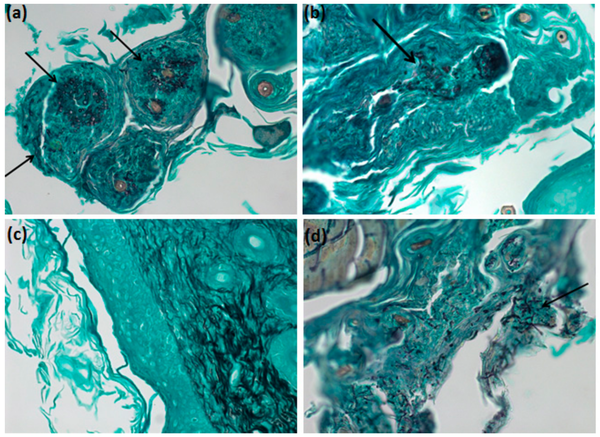 Antibiotics 09 00894 g012 Antibiotics 09 00894 g012