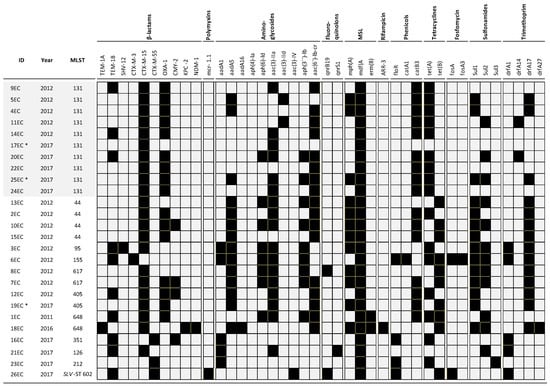 antibiotics free full text genomic analysis of ctx m group 1 producing extraintestinal pathogenic e coli expec from patients with urinary tract infections uti from colombia html