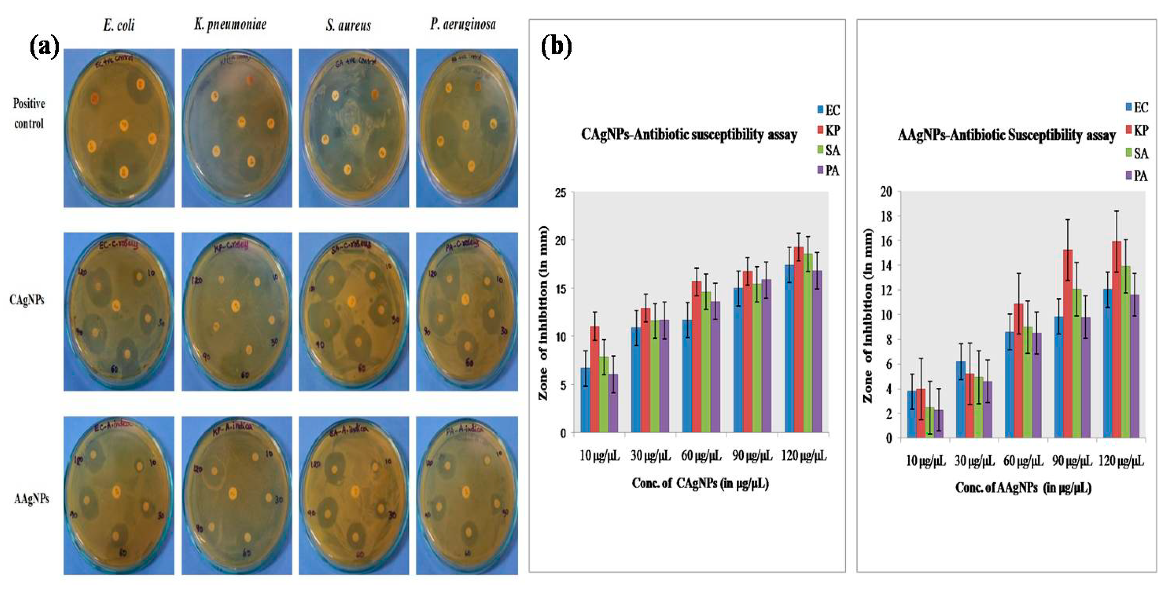 Antibacterial activity