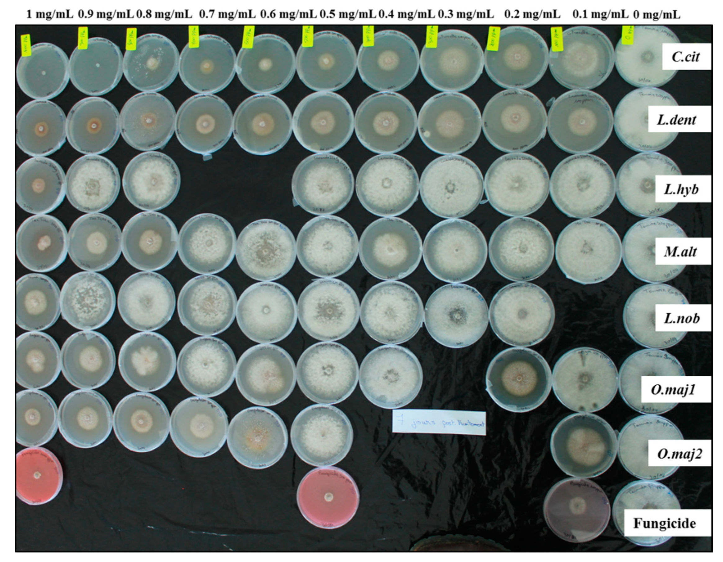 Antibiotics Free Full Text Antifungal Activity And Chemical Composition Of Seven Essential Oils To Control The Main Seedborne Fungi Of Cucurbits Html