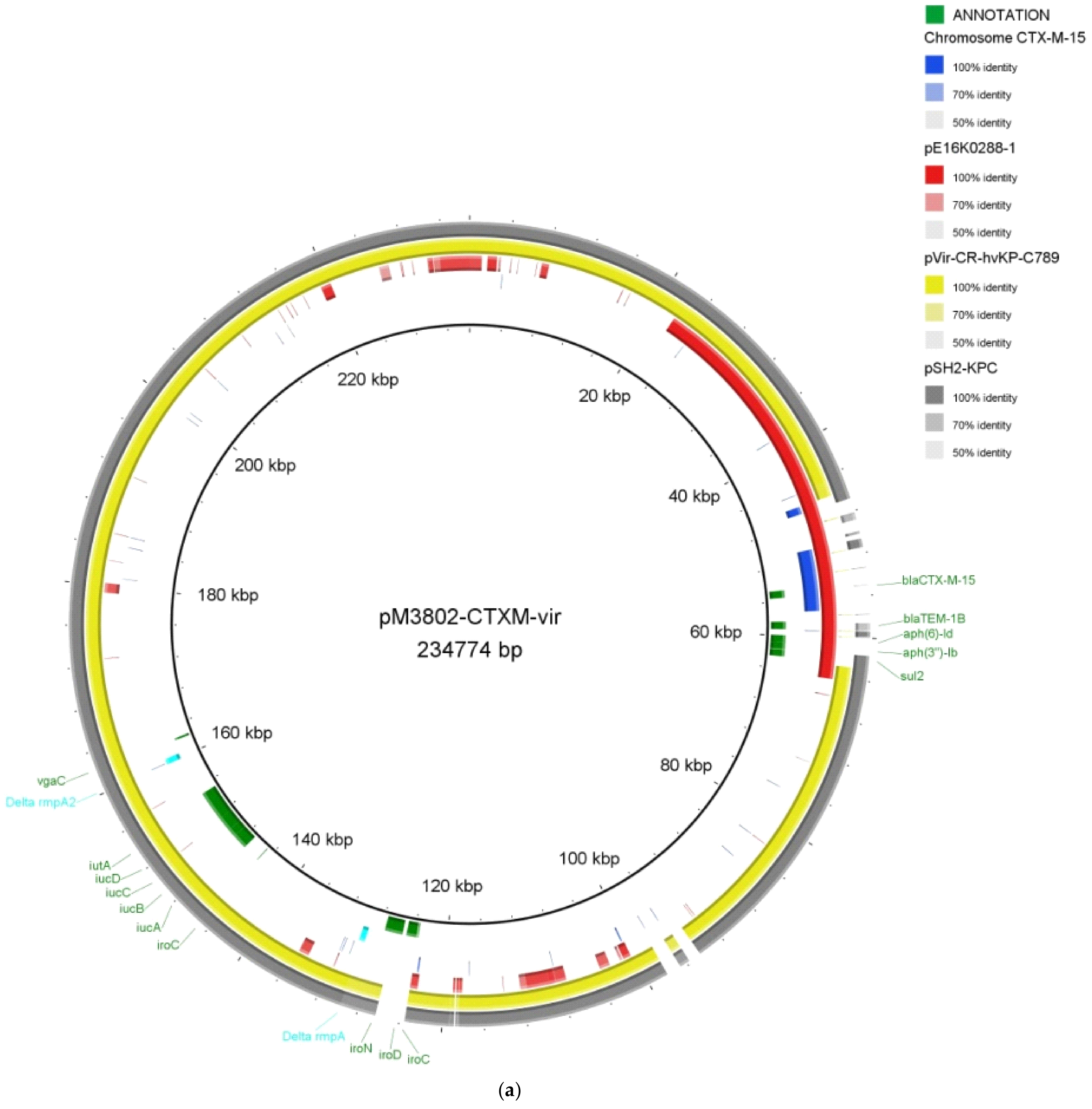 Antibiotics 10 00157 g001a