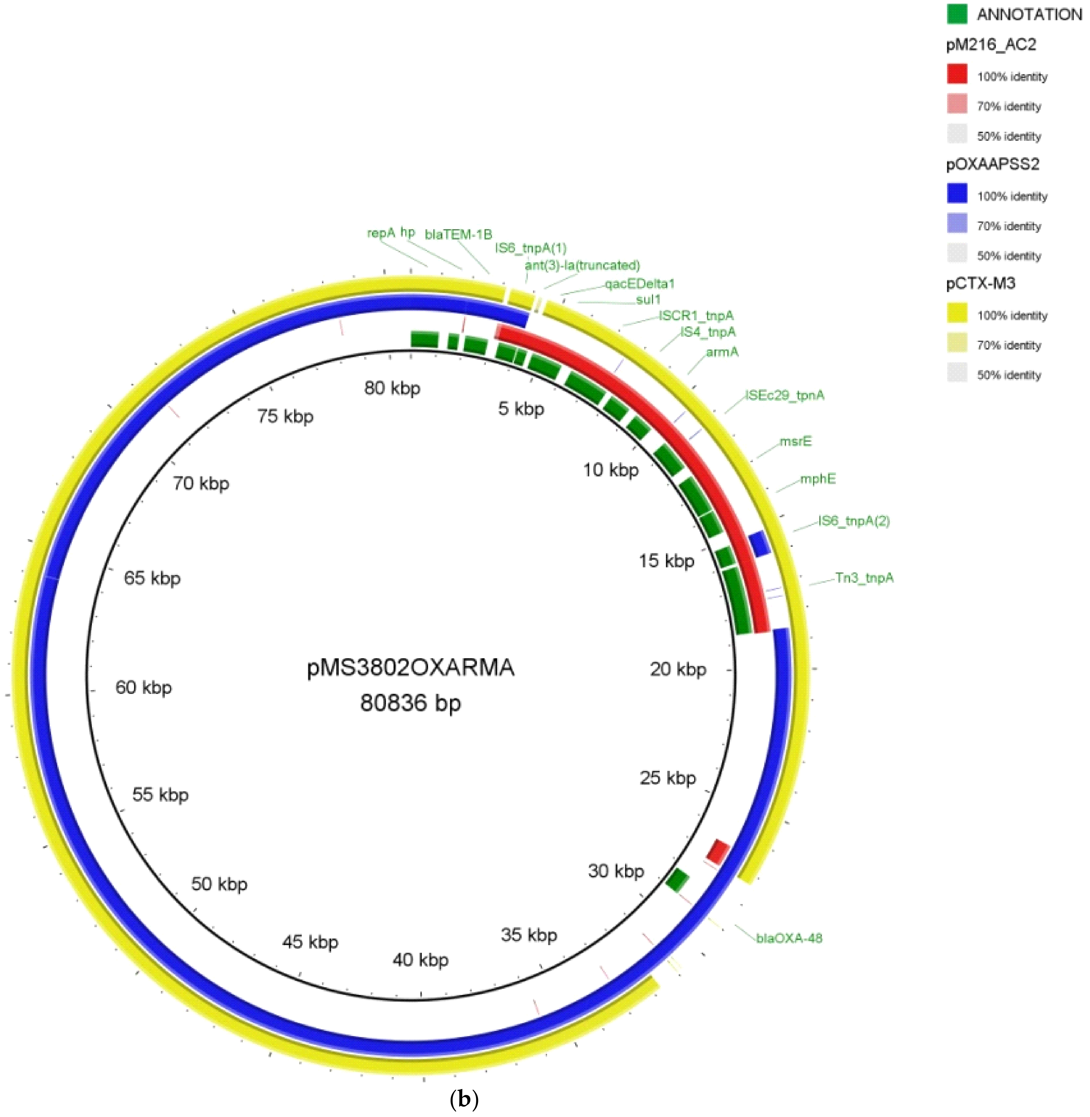 Antibiotics 10 00157 g001b