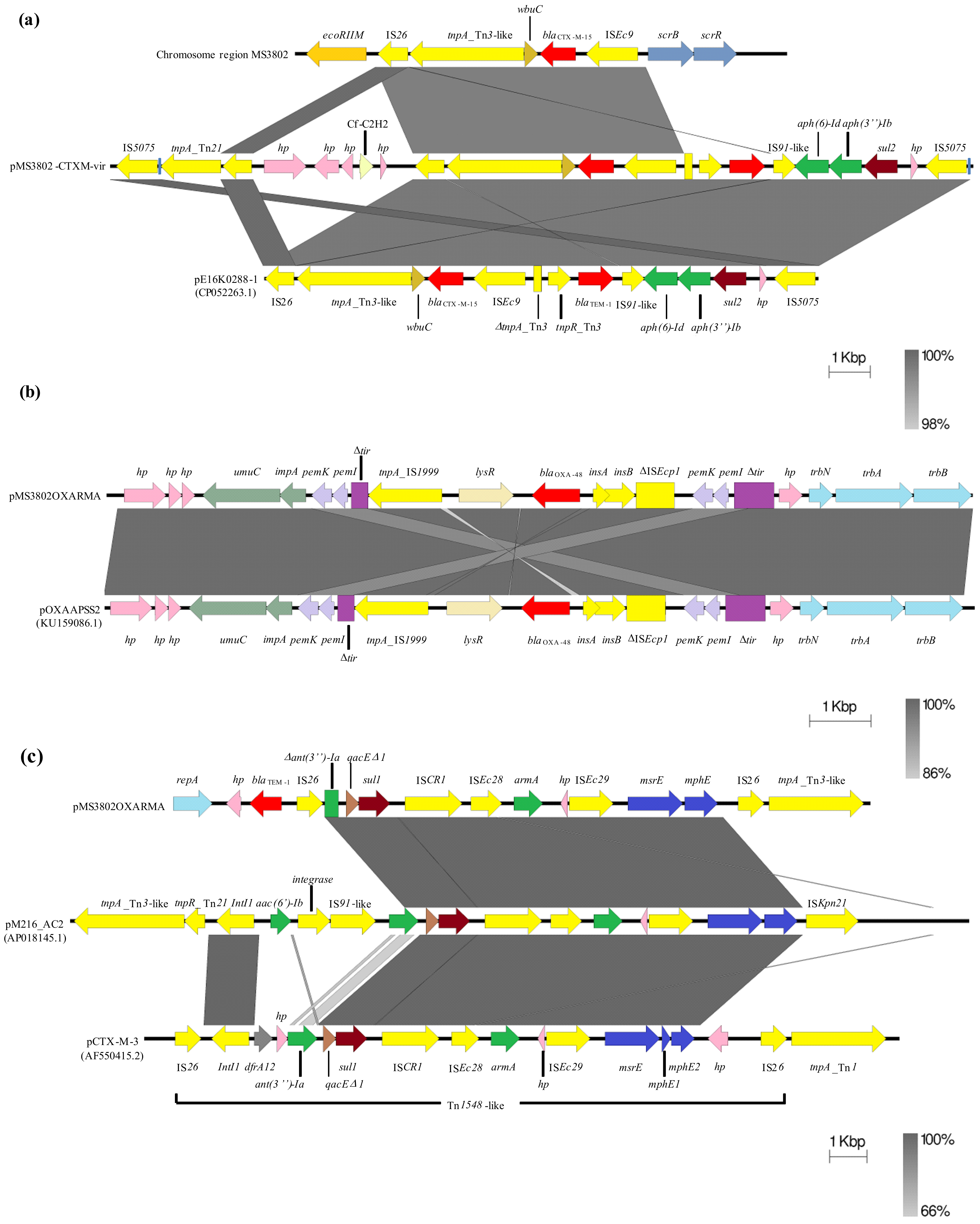 Antibiotics 10 00157 g002
