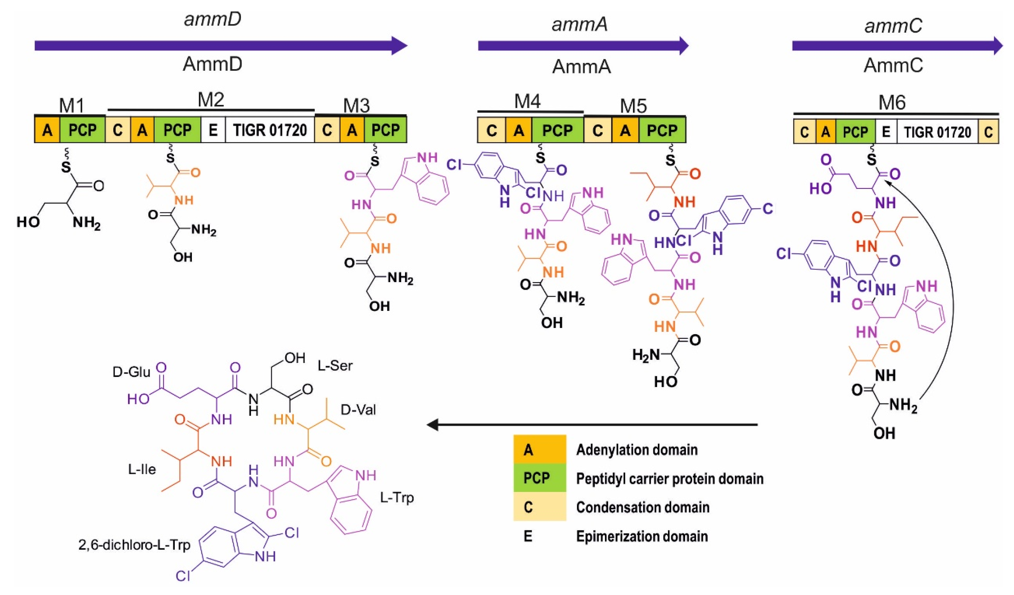 Antibiotics 10 00261 g003