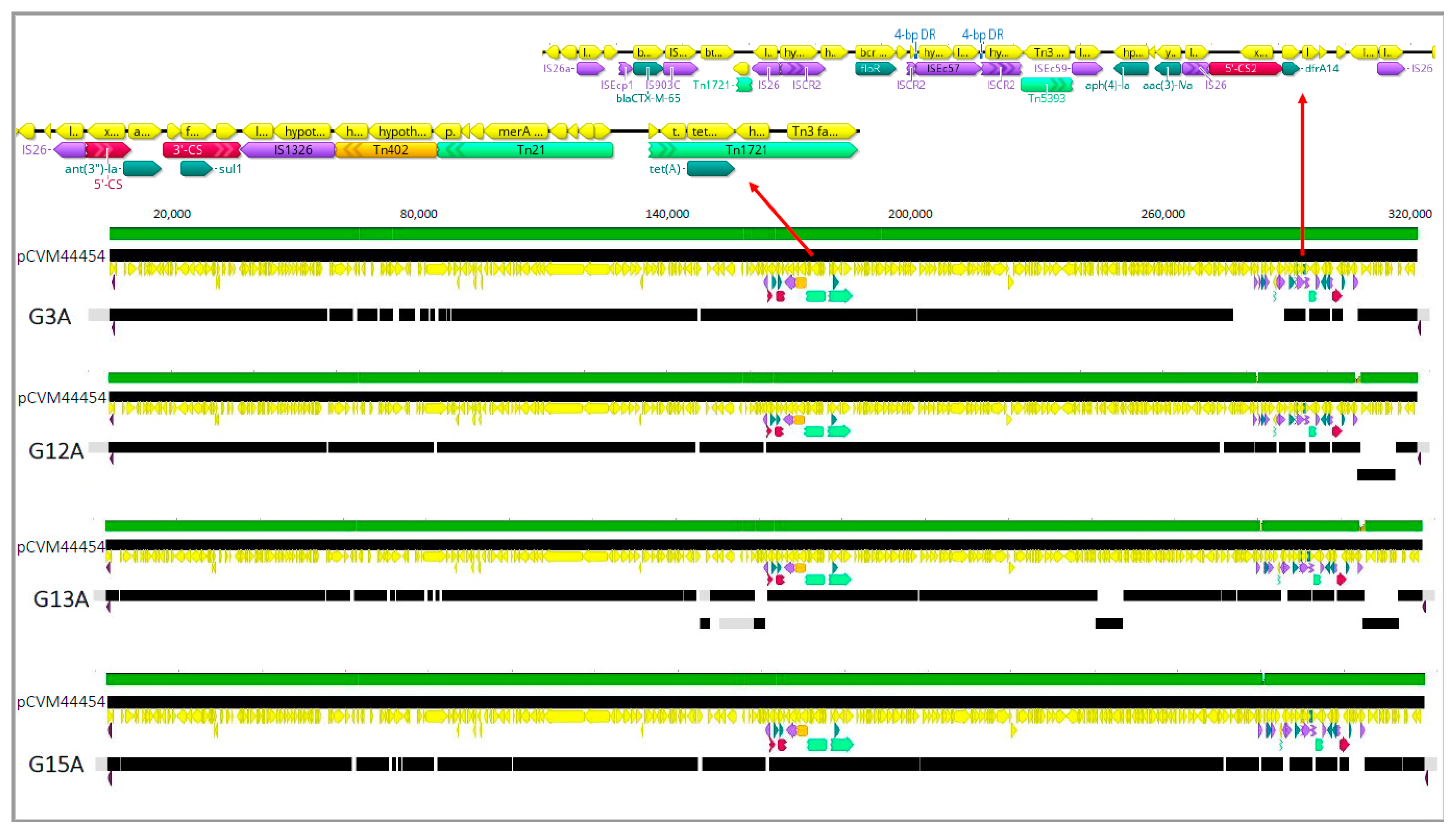 Antibiotics 10 00267 g001 Antibiotics 10 00267 g001