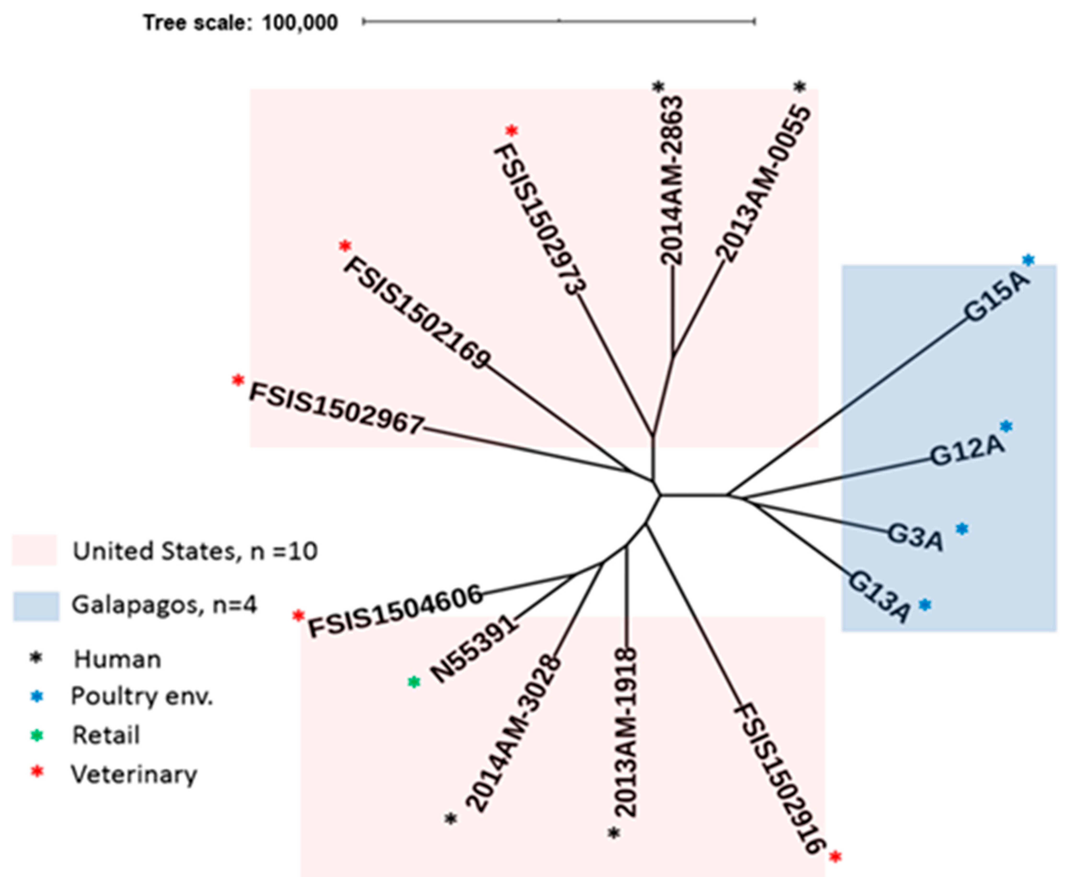 Antibiotics 10 00267 g003 Antibiotics 10 00267 g003