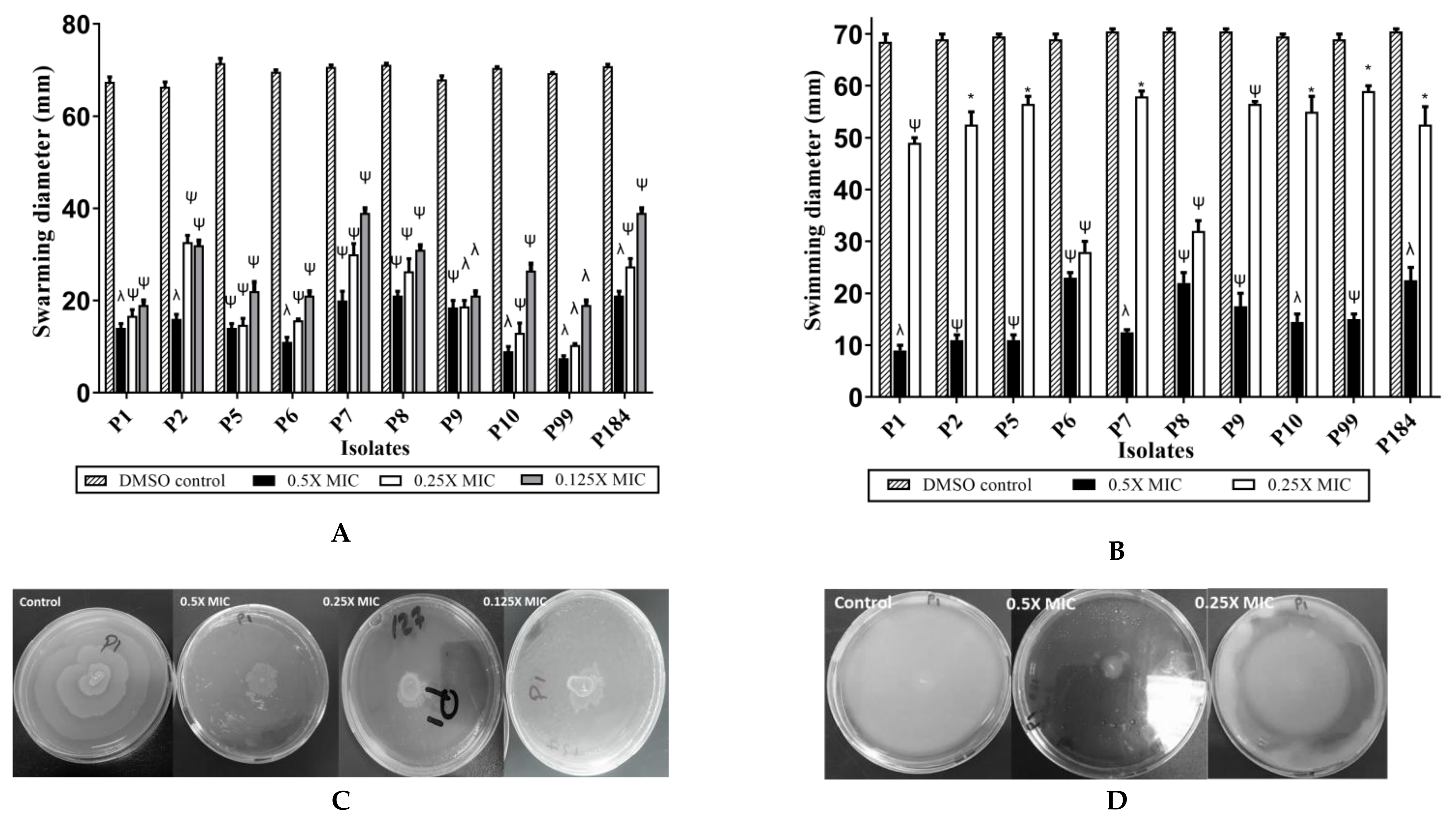 Antibiotics 10 00363 g004