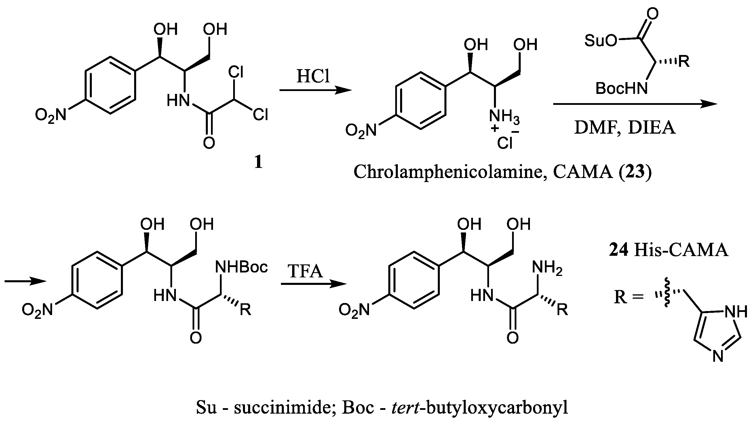 Antibiotics Free Full Text Recent Trends In Synthesis Of Chloramphenicol New Derivatives