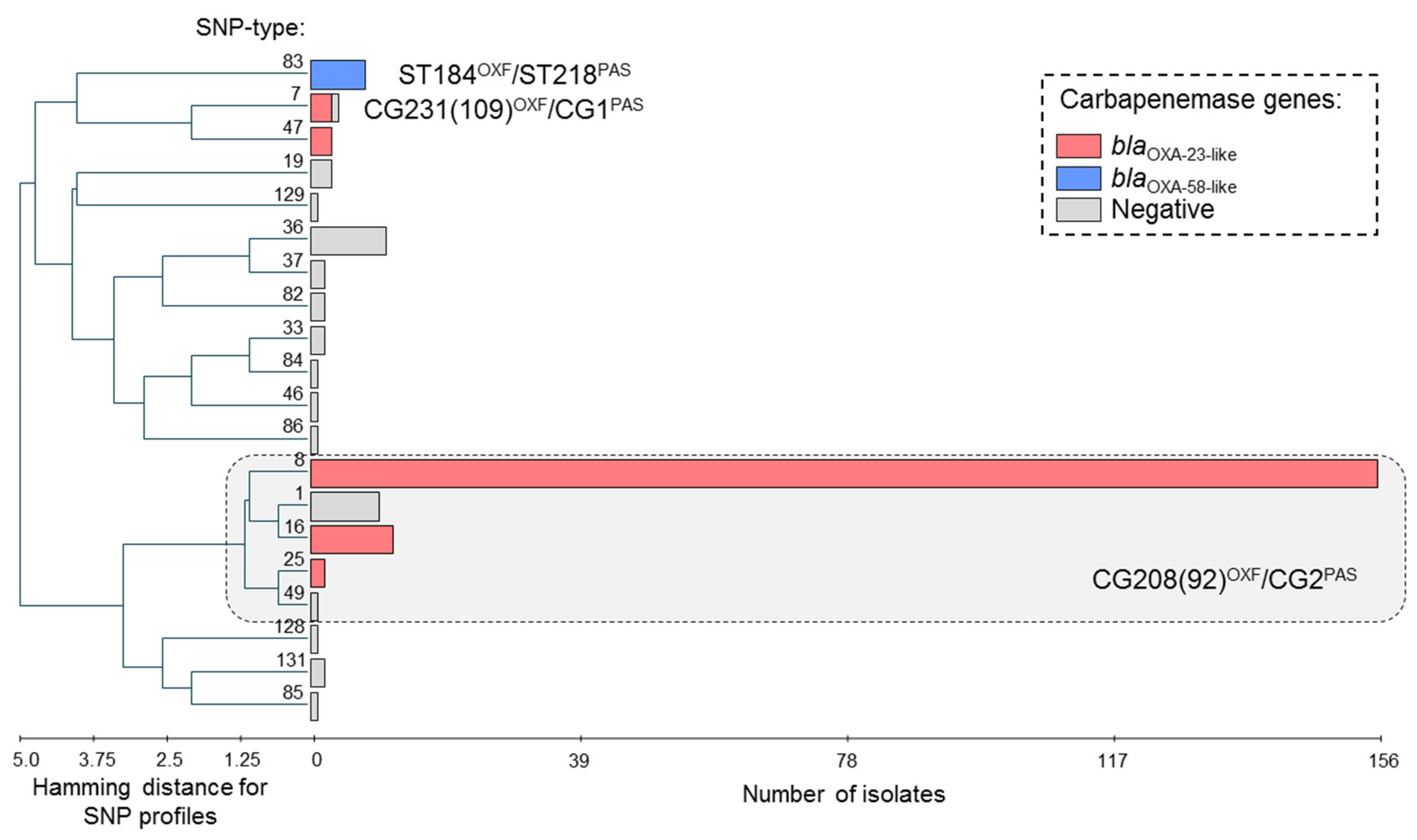 Antibiotics 10 00382 g001