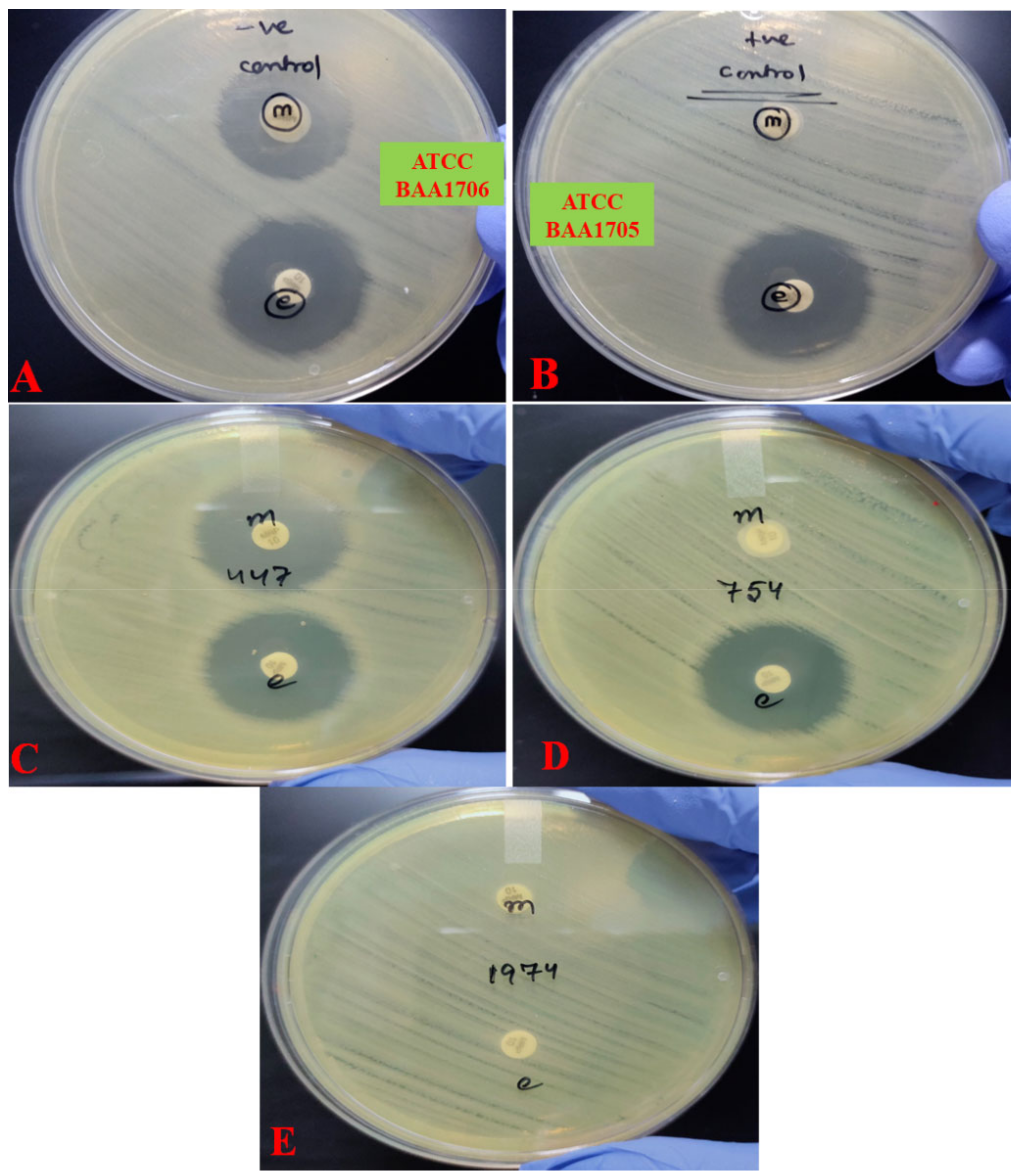 Antibiotics 10 00388 g001
