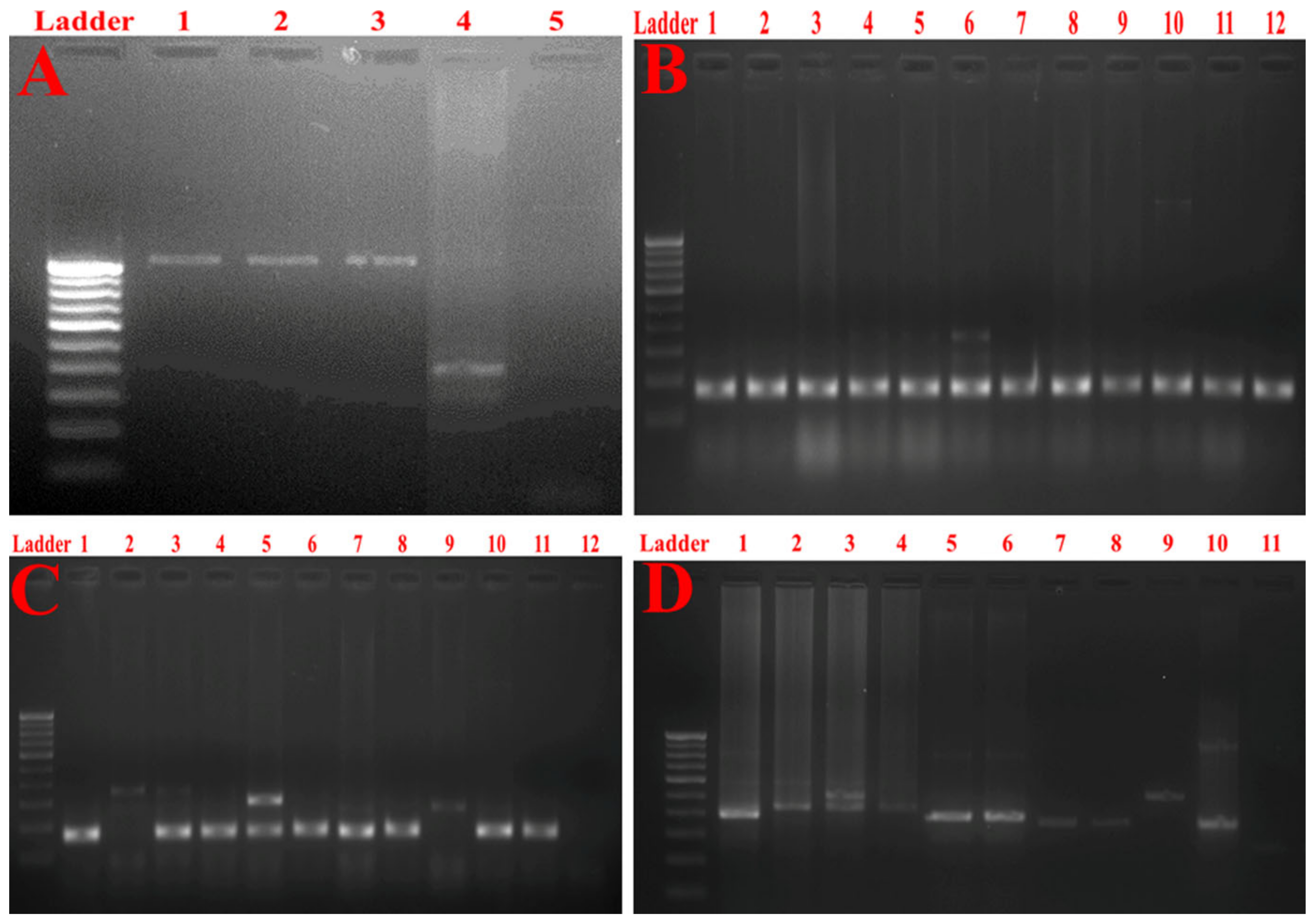 Antibiotics 10 00388 g004
