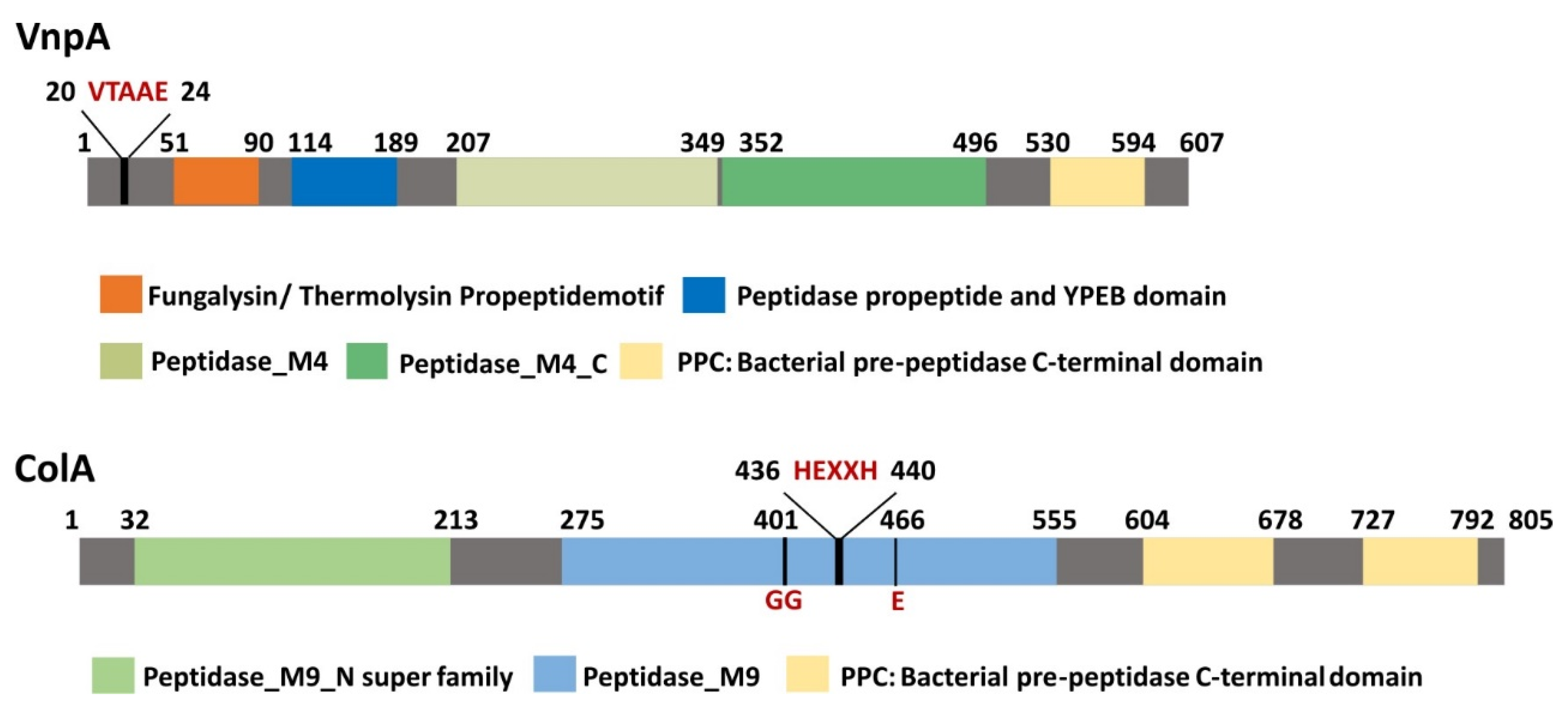 Antibiotics 10 00391 g001 Antibiotics 10 00391 g001