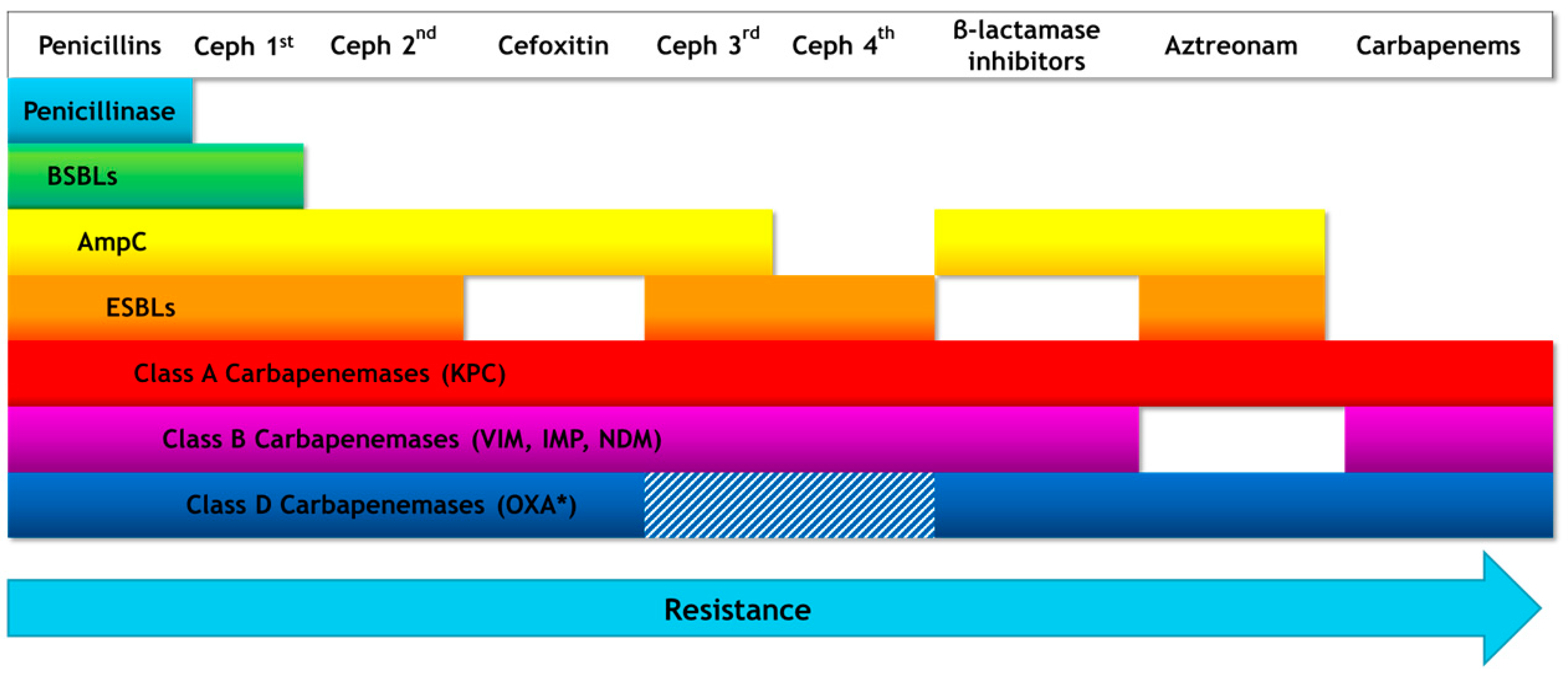 Antibiotics 10 00415 g002