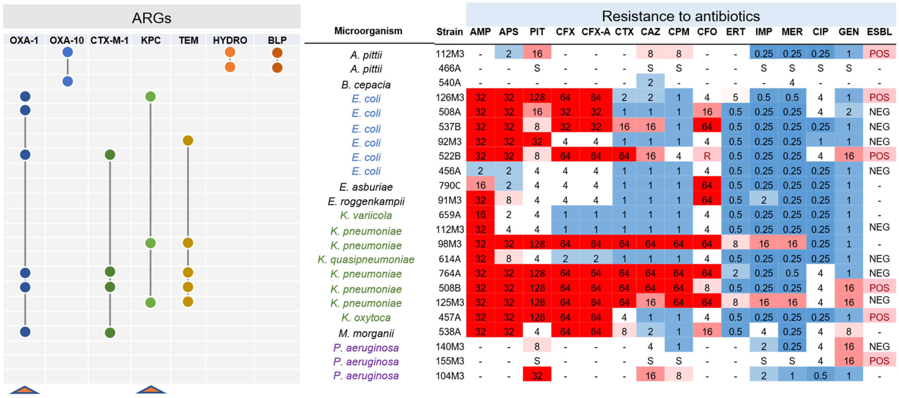 Antibiotics Free Full Text Combining Functional Genomics And Whole Genome Sequencing To Detect Antibiotic Resistance Genes In Bacterial Strains Co Occurring Simultaneously In A Brazilian Hospital Html