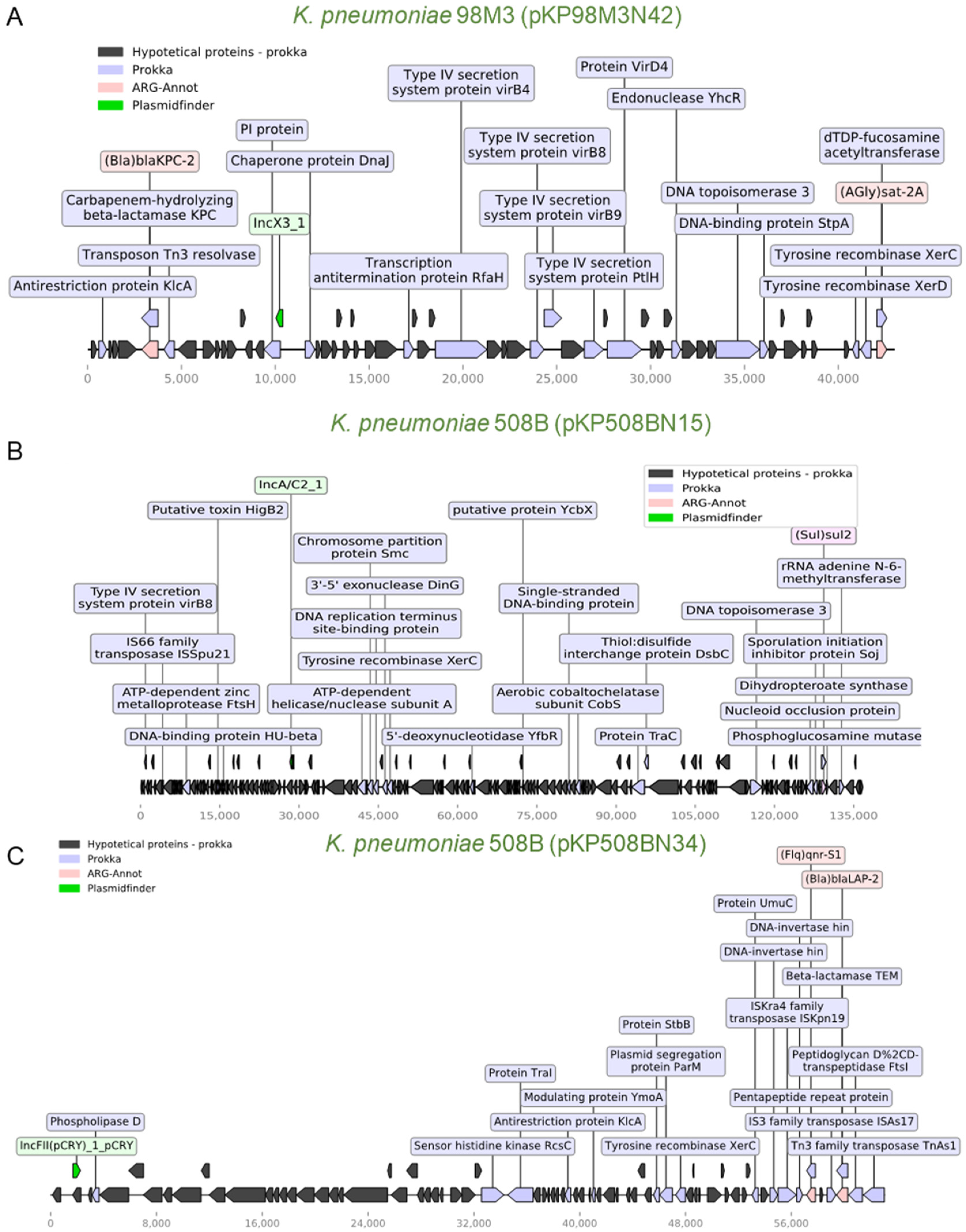 Antibiotics Free Full Text Combining Functional Genomics And Whole Genome Sequencing To Detect Antibiotic Resistance Genes In Bacterial Strains Co Occurring Simultaneously In A Brazilian Hospital Html