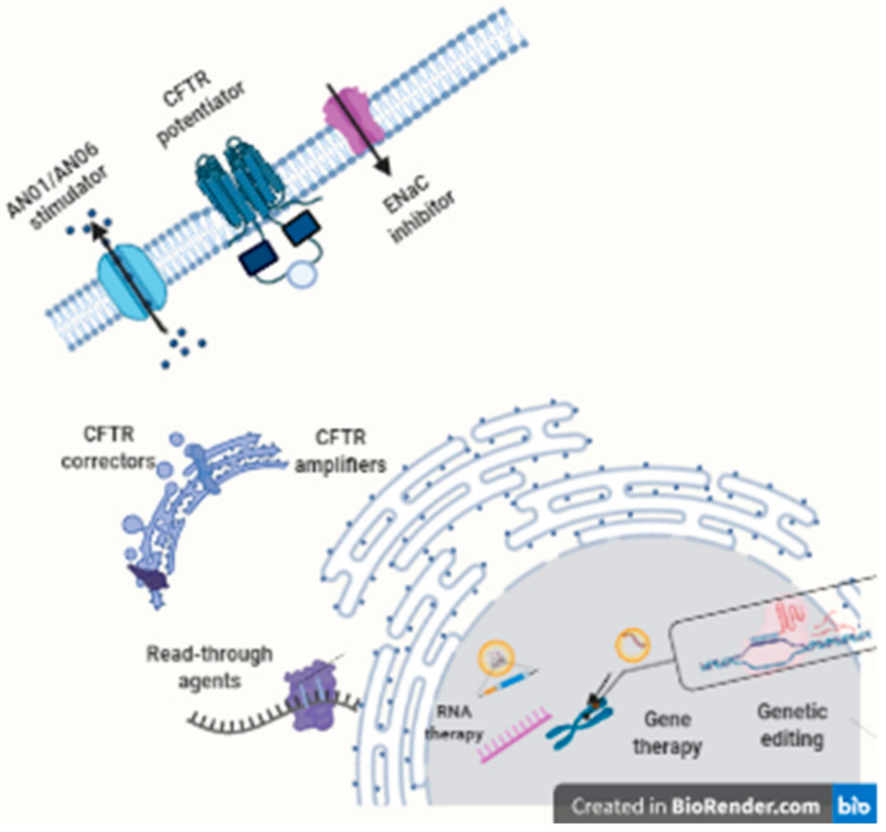Antibiotics 10 00486 g004 Antibiotics 10 00486 g004