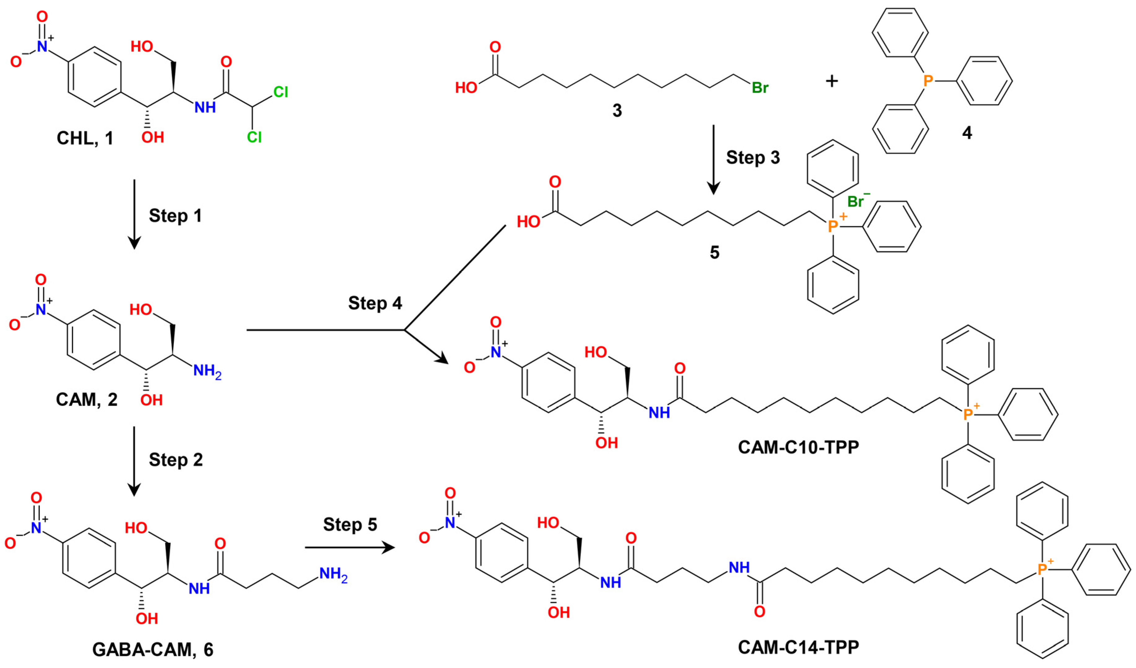 Antibiotics 10 00489 g001