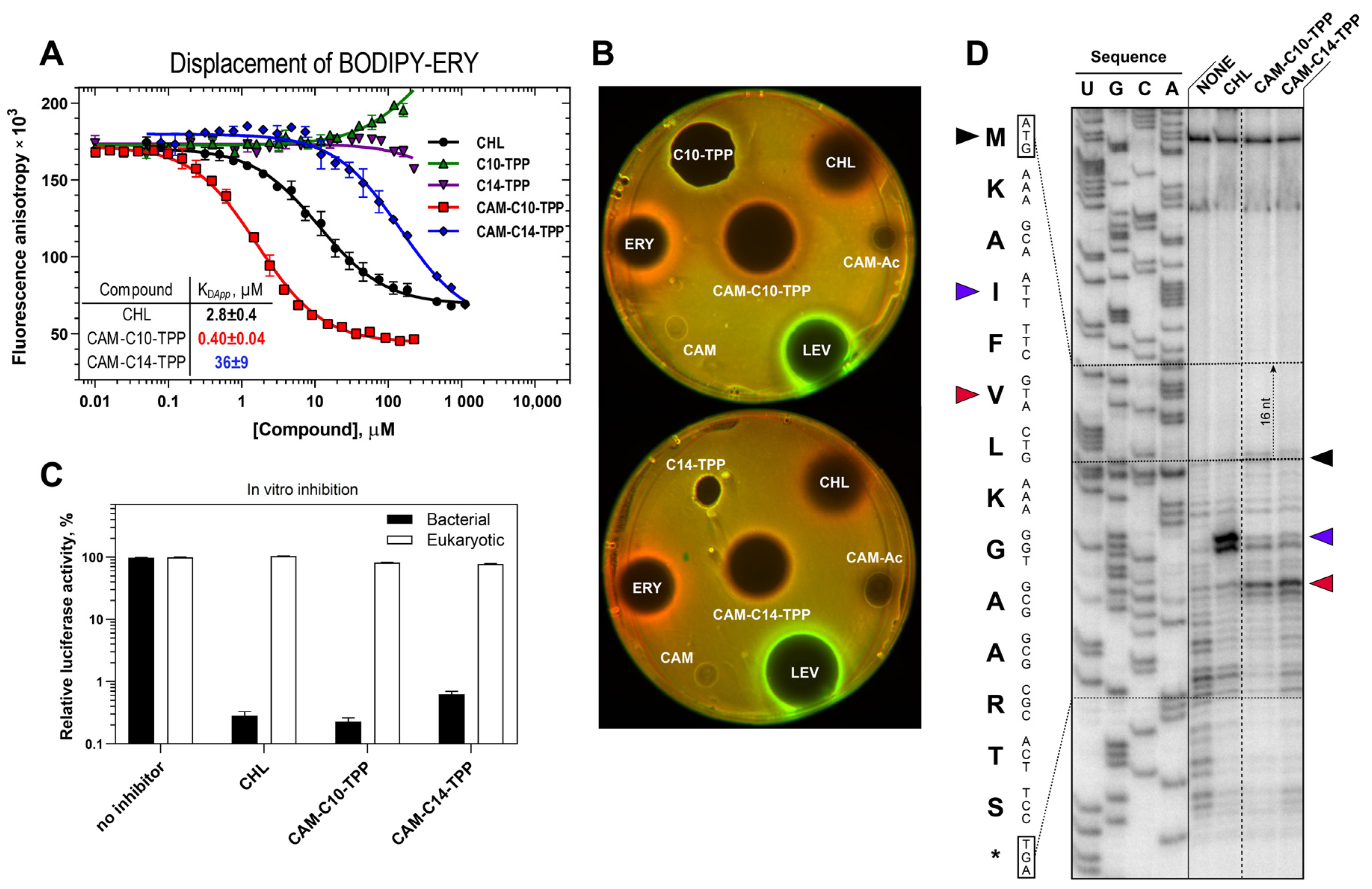 Antibiotics 10 00489 g002