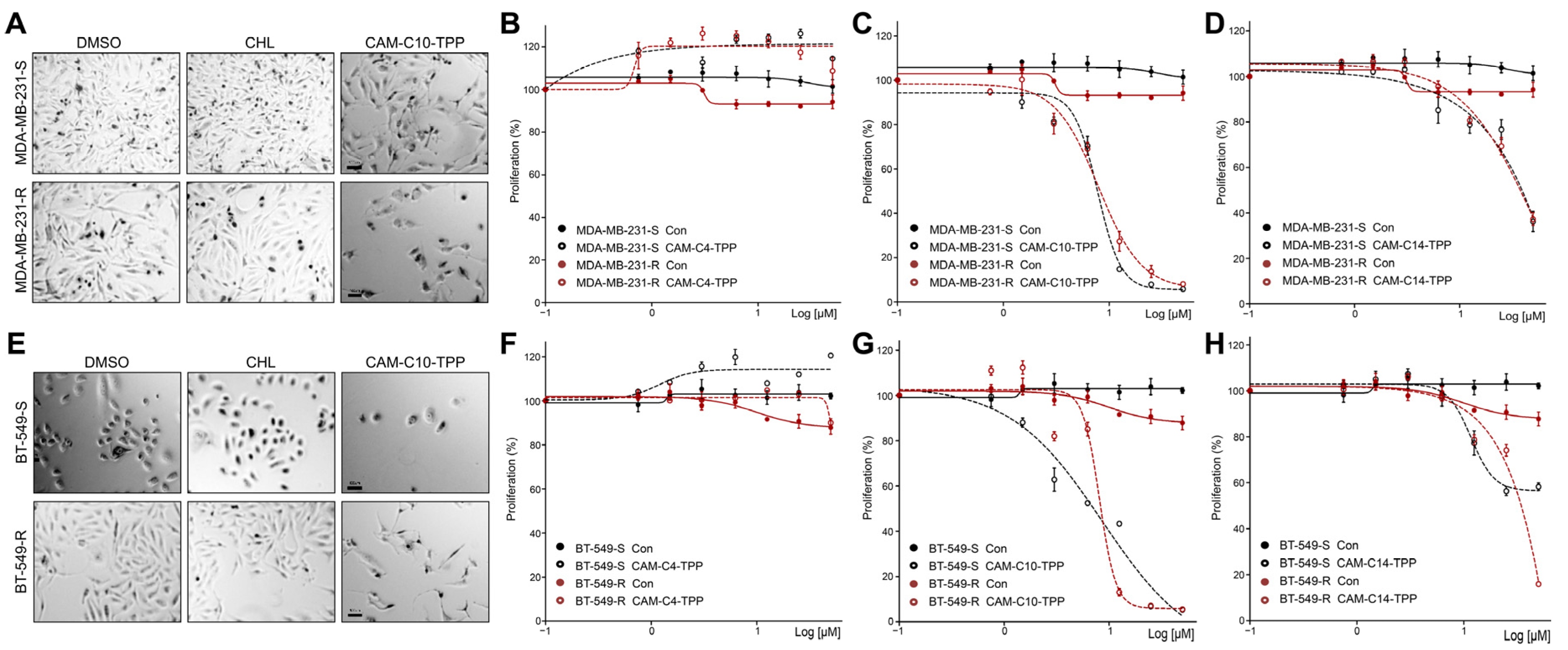 Antibiotics 10 00489 g005