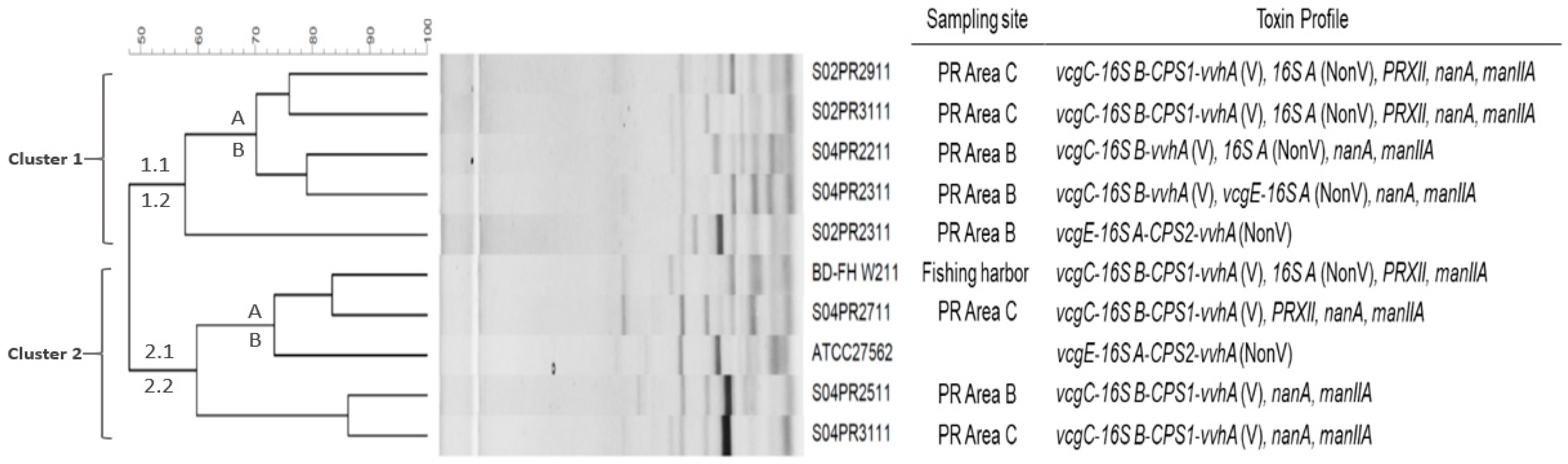Antibiotics 10 00505 g001