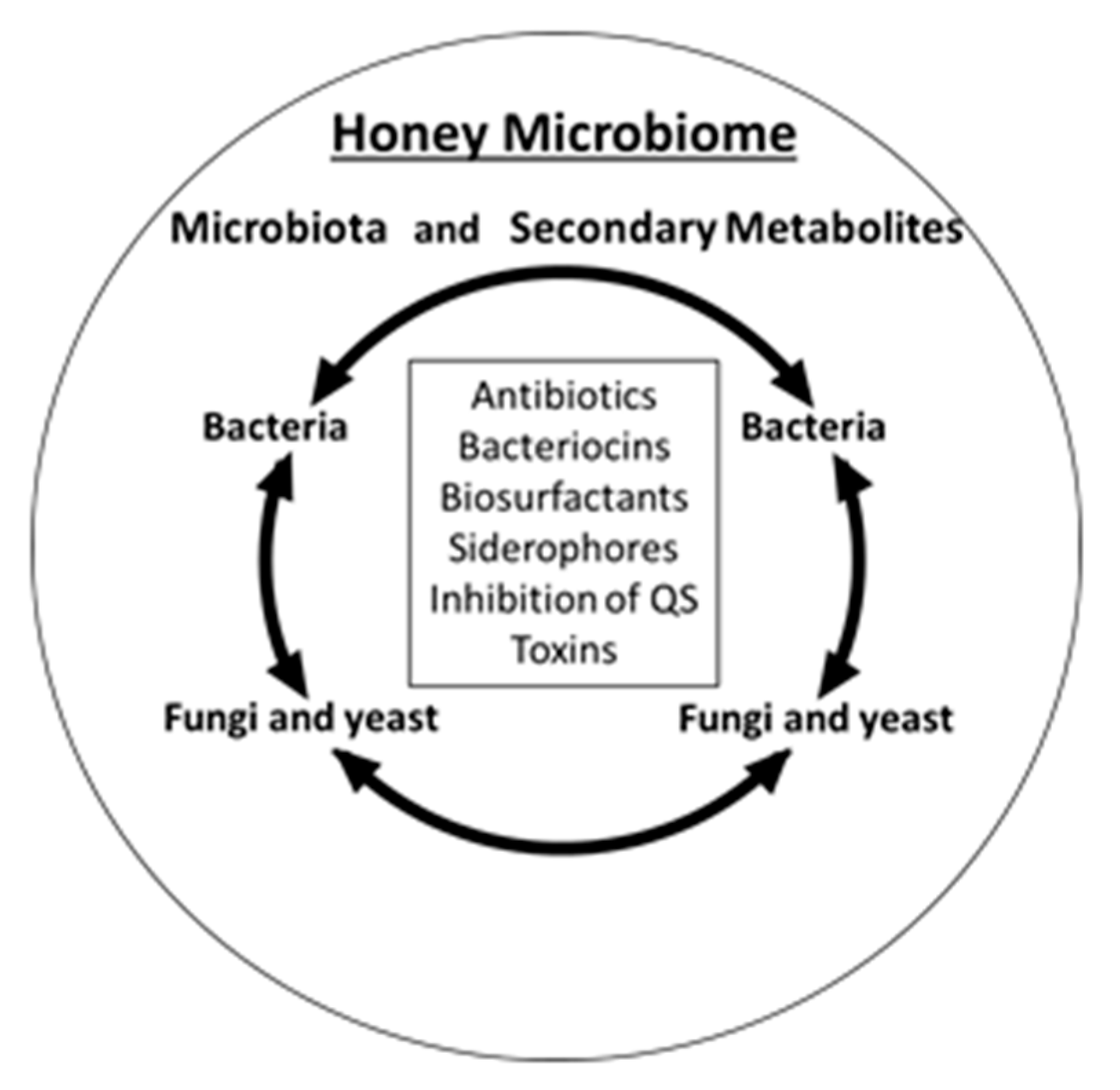 Antibiotics 10 00551 g002