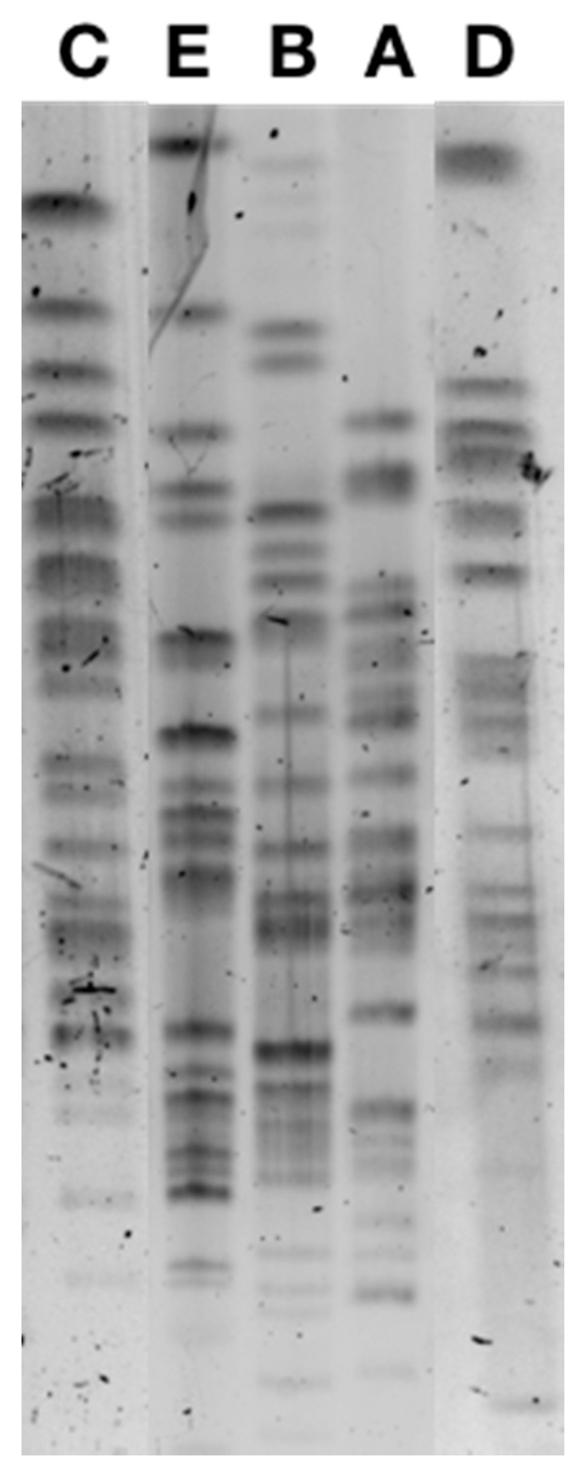 Antibiotics 10 00574 g001