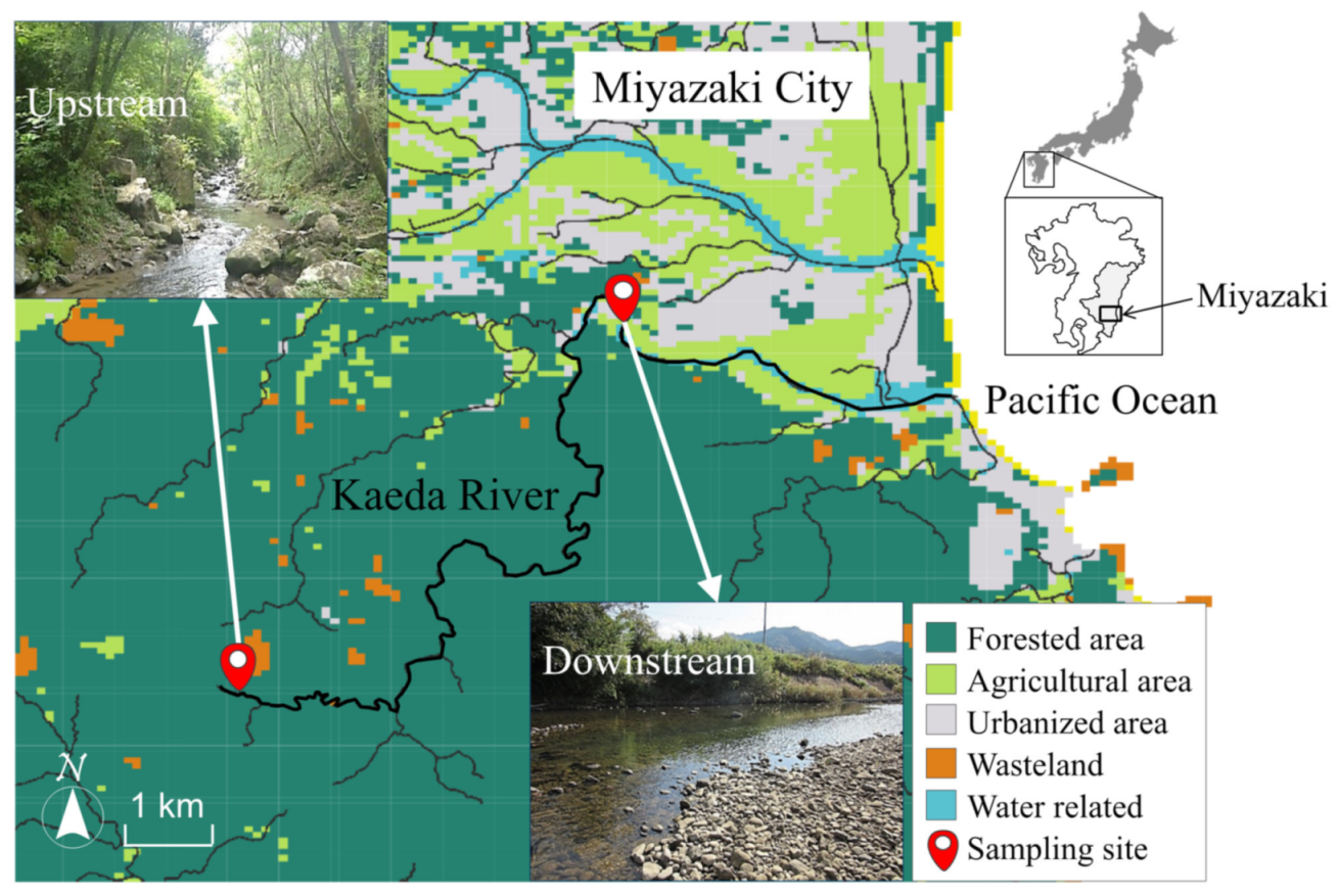 Antibiotics 10 00575 g001