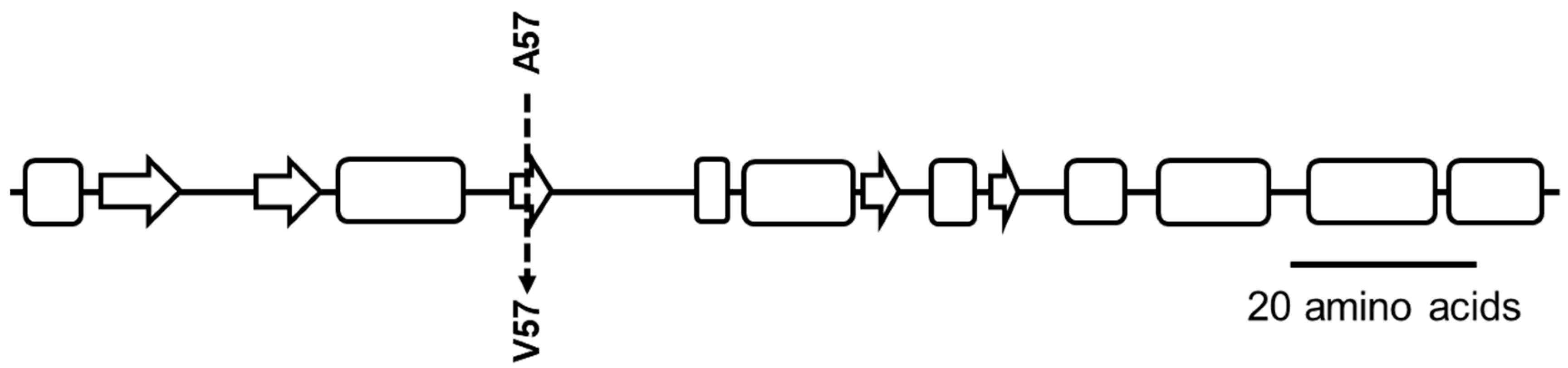 Antibiotics 10 00583 g001 Antibiotics 10 00583 g001