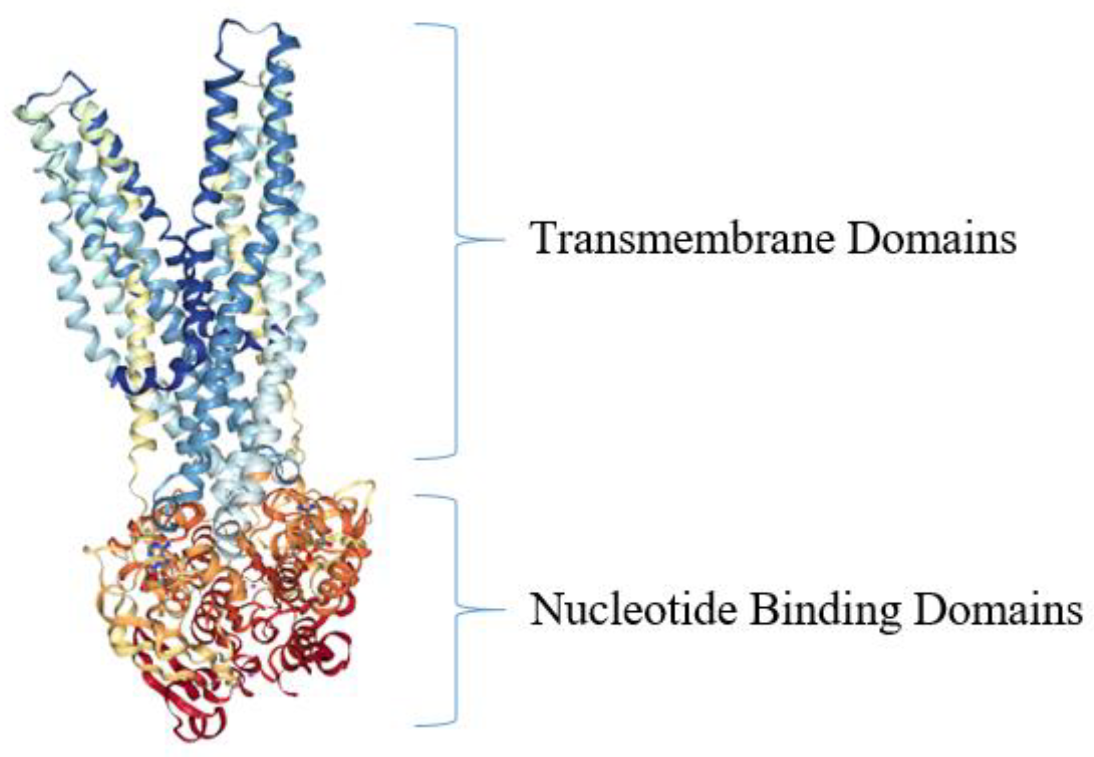 Antibiotics 10 00593 g005 Antibiotics 10 00593 g005