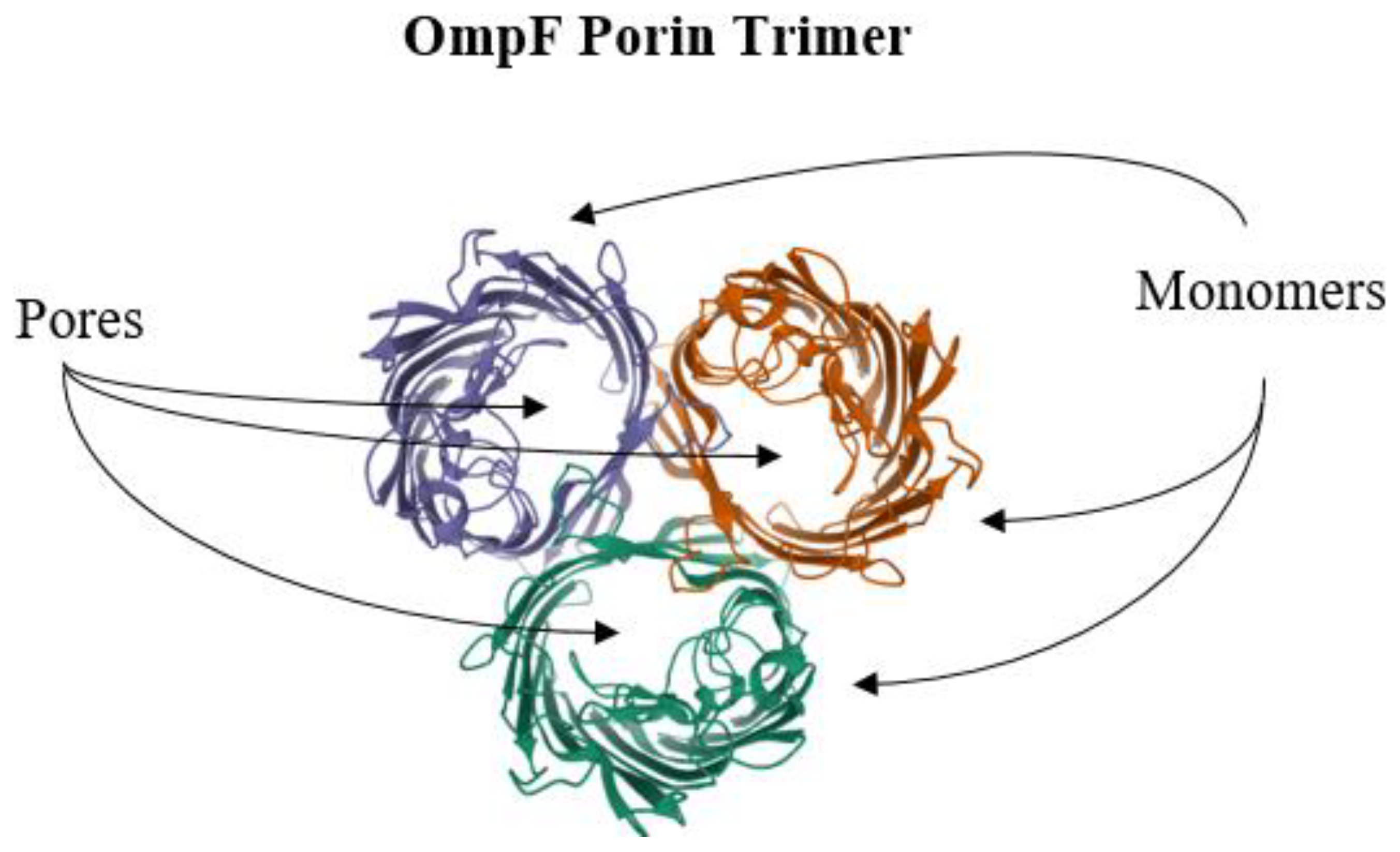 Antibiotics 10 00593 g008 Antibiotics 10 00593 g008