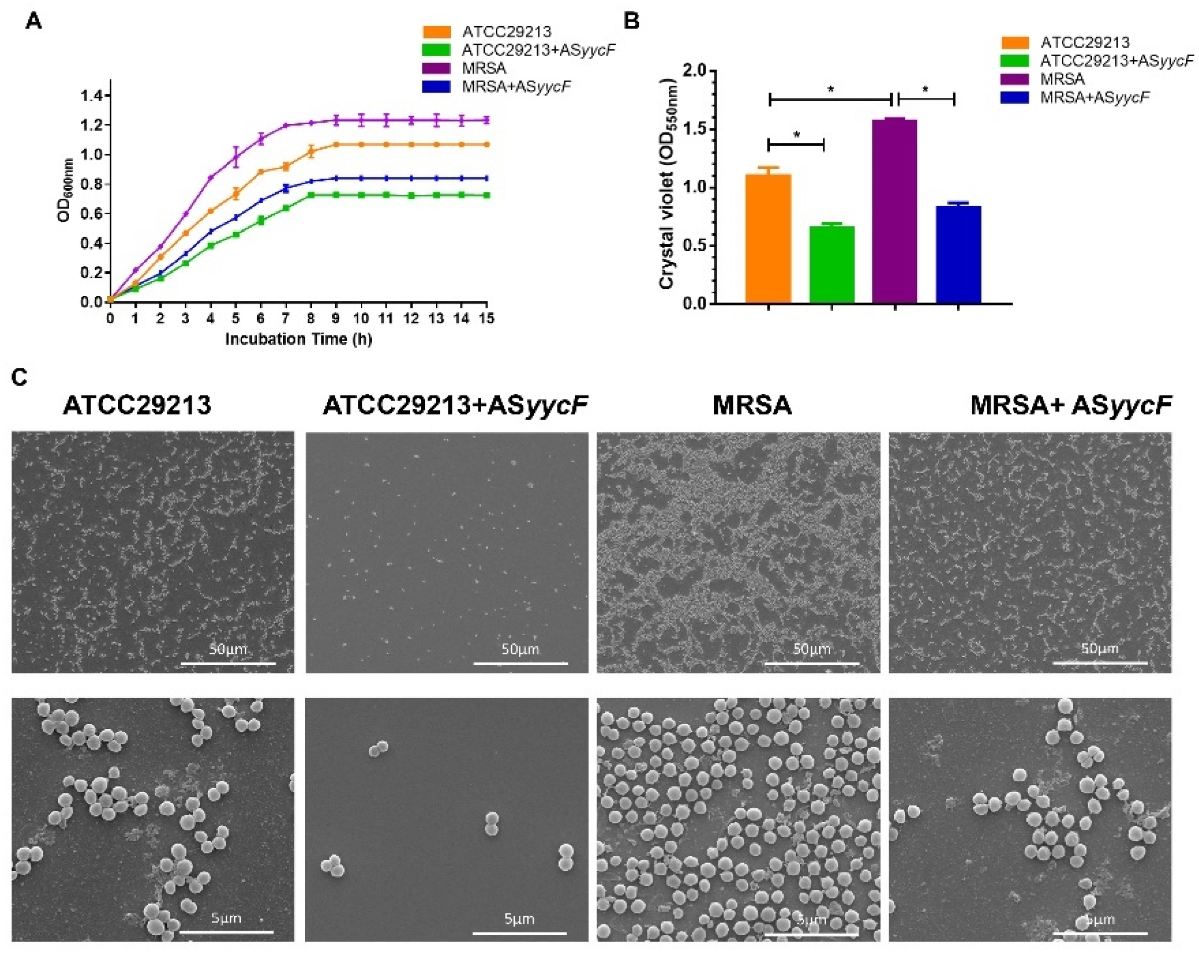 Antibiotics 10 00603 g002