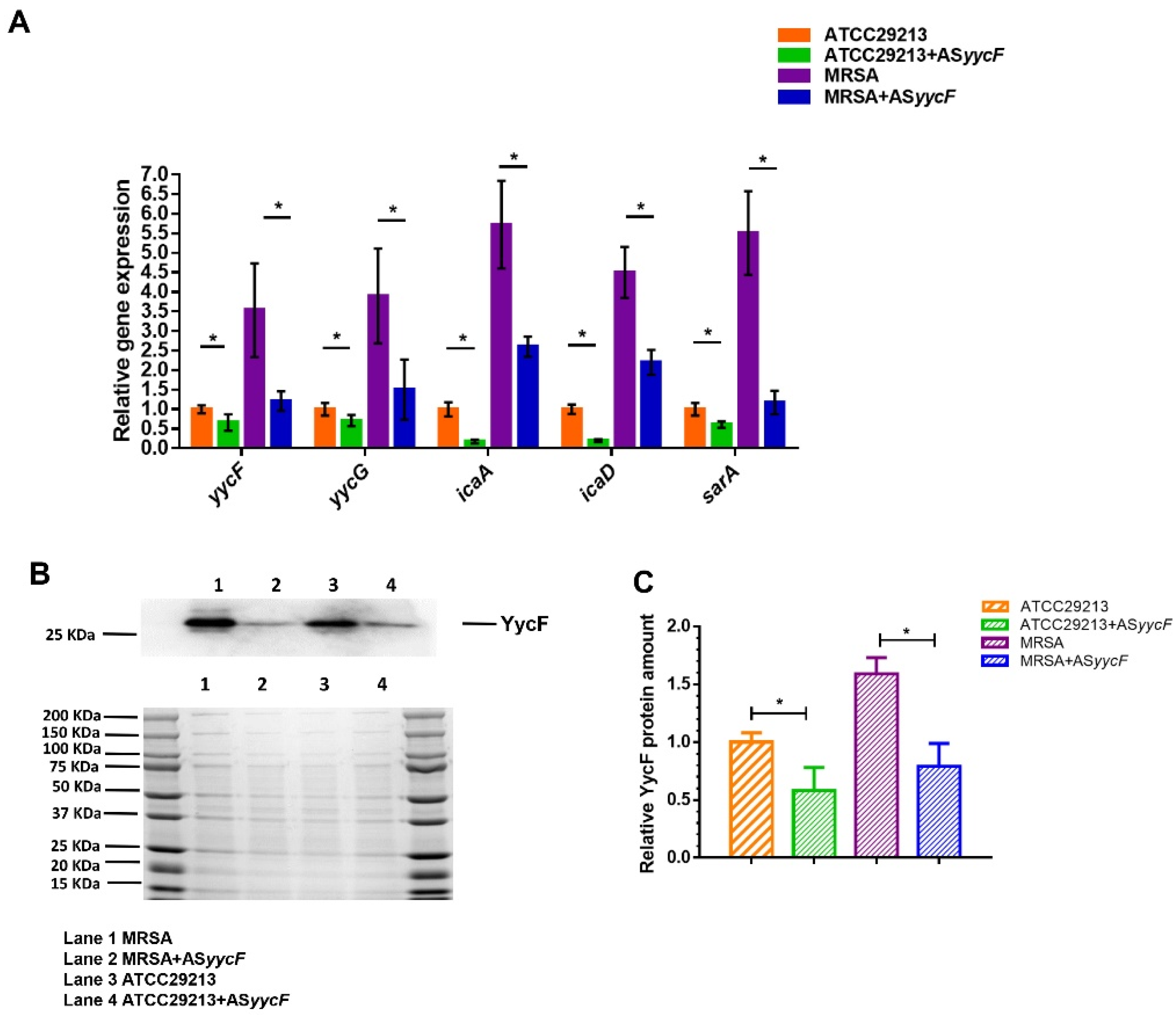 Antibiotics 10 00603 g004