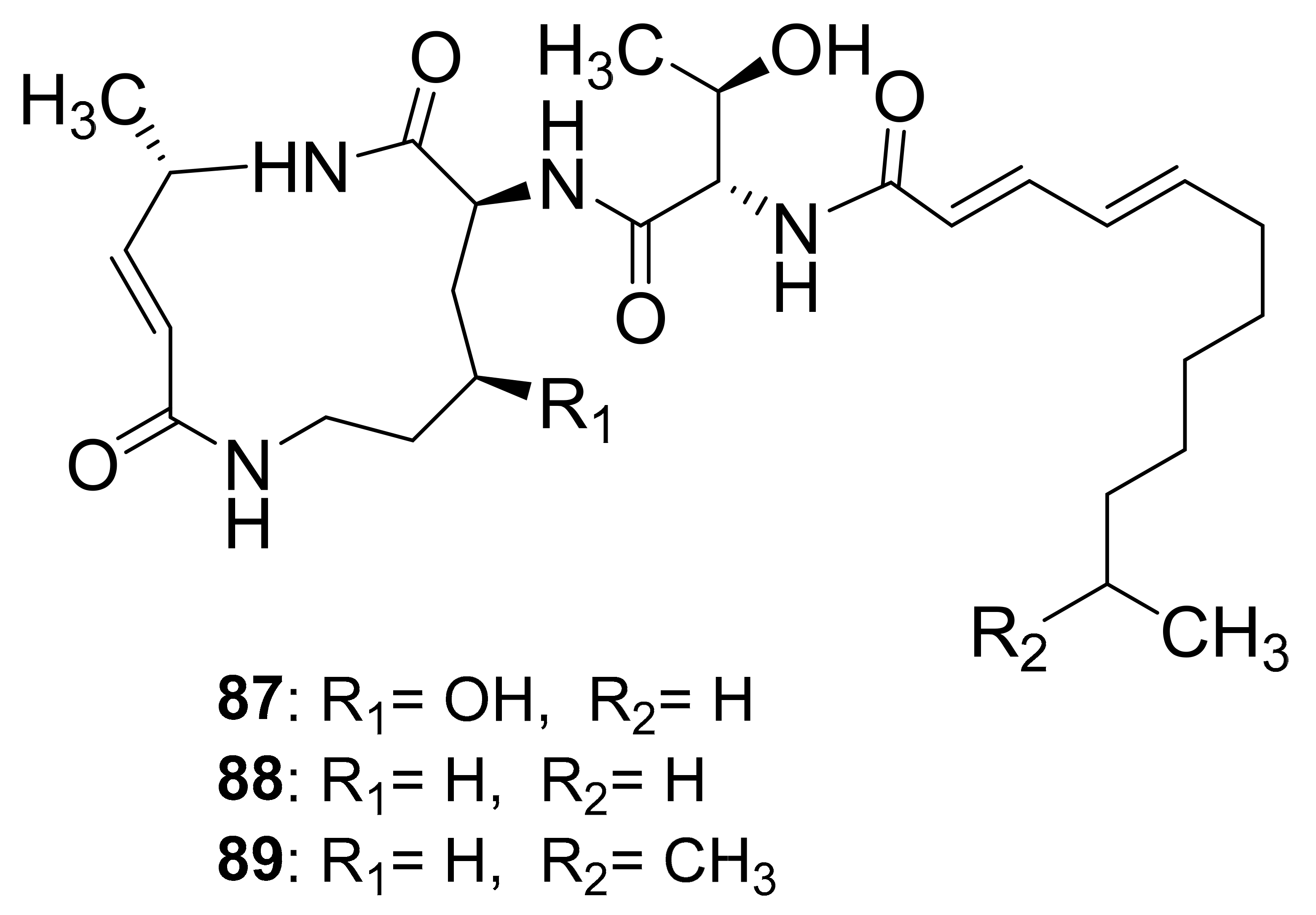 Antibiotics 10 00621 g011 Antibiotics 10 00621 g011
