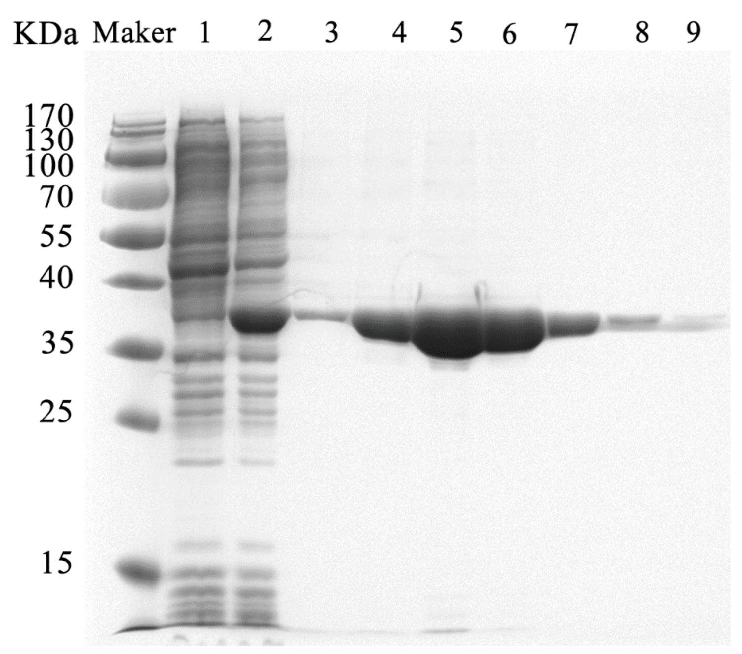 Antibiotics 10 00631 g003 Antibiotics 10 00631 g003