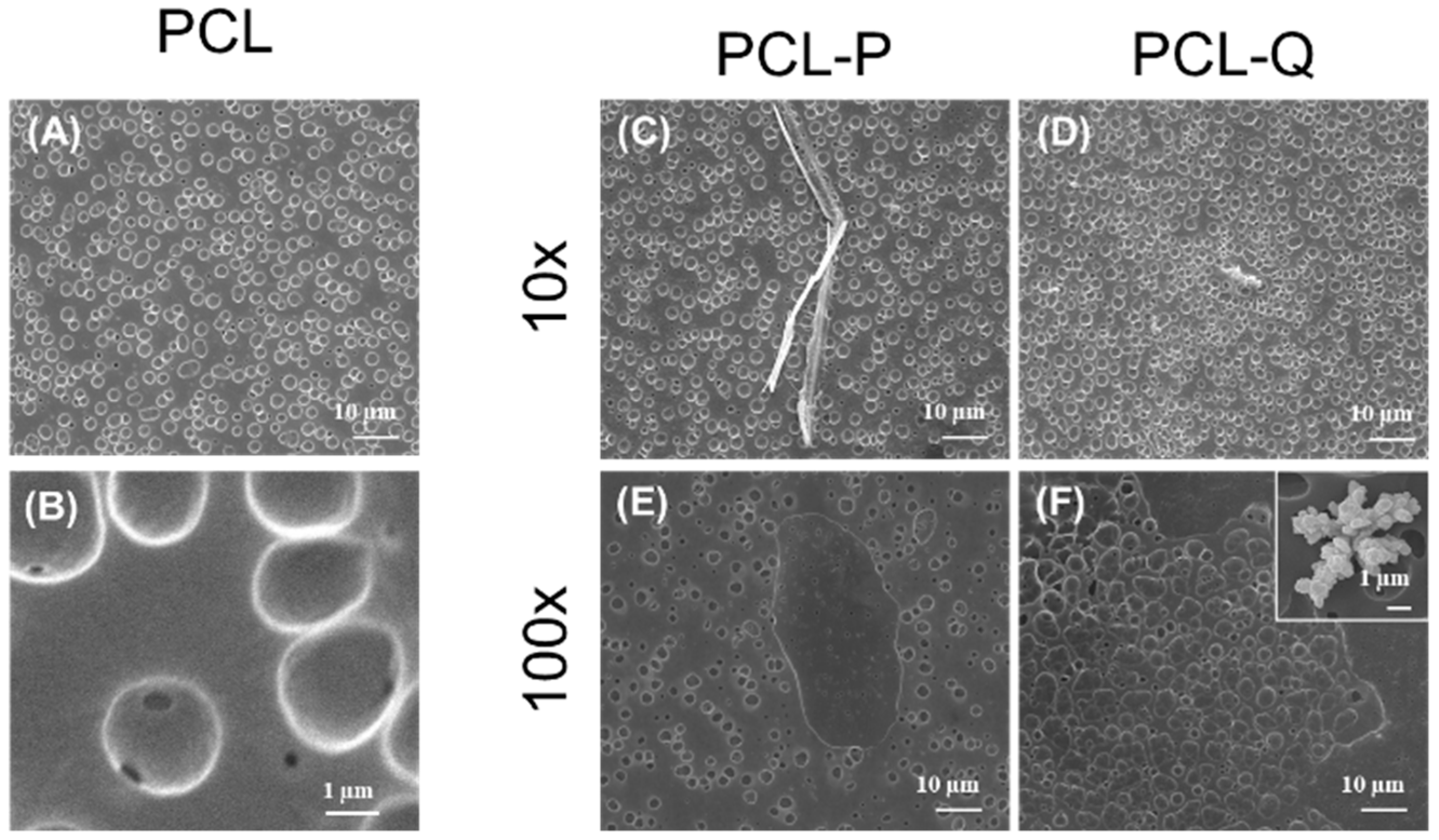 Antibiotics 10 00638 g004