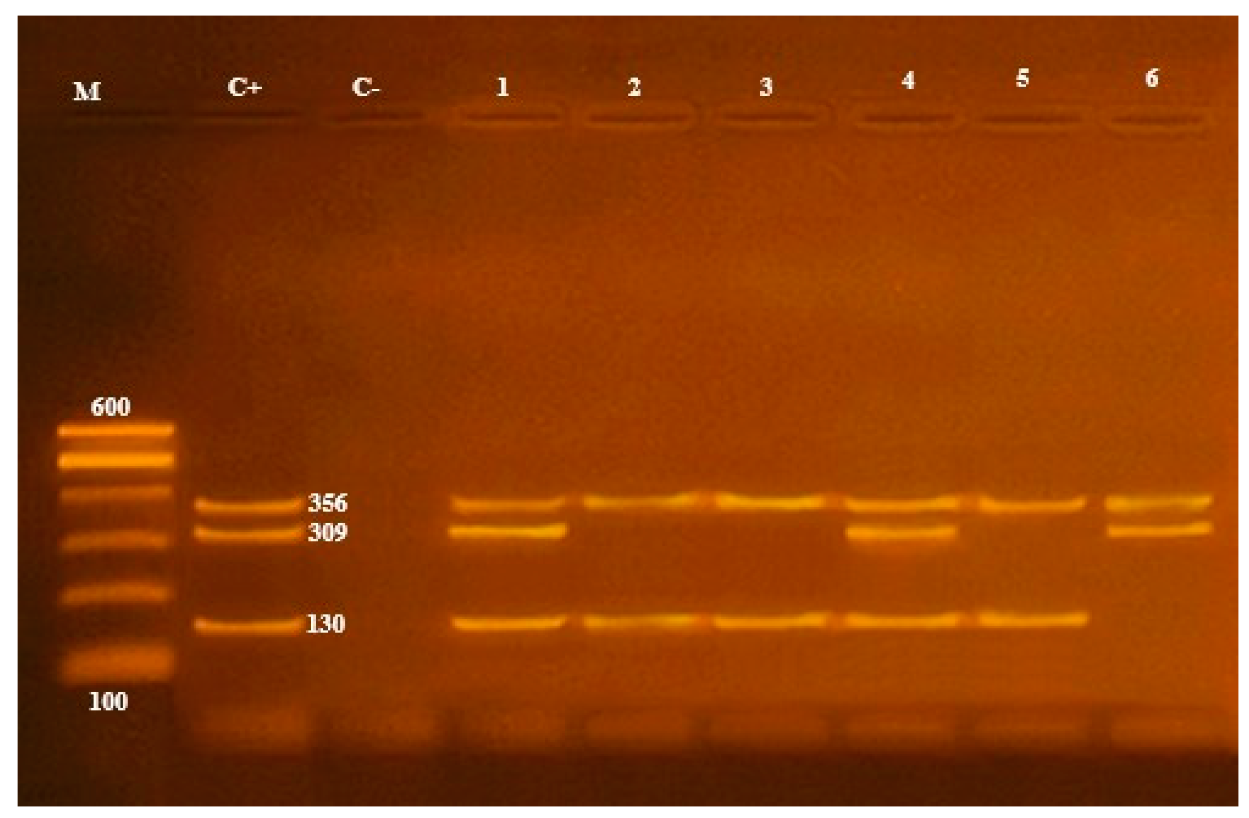 Antibiotics 10 00654 g004 Antibiotics 10 00654 g004