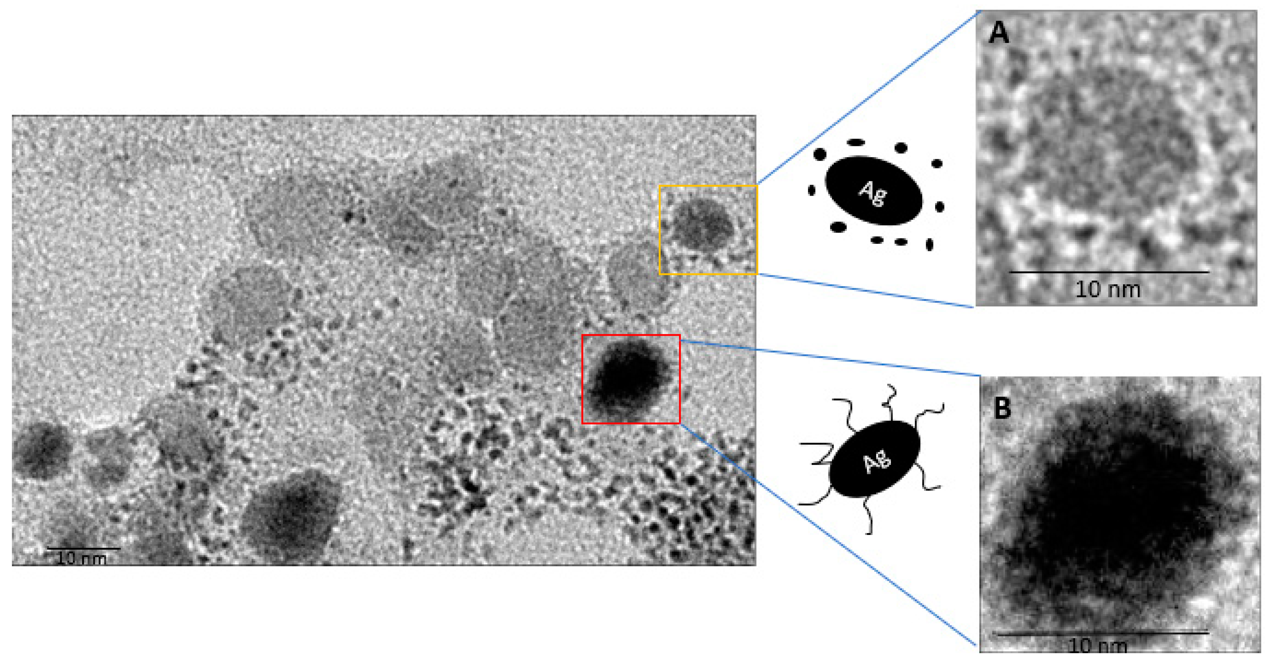 Antibiotics 10 00678 g003 Antibiotics 10 00678 g003