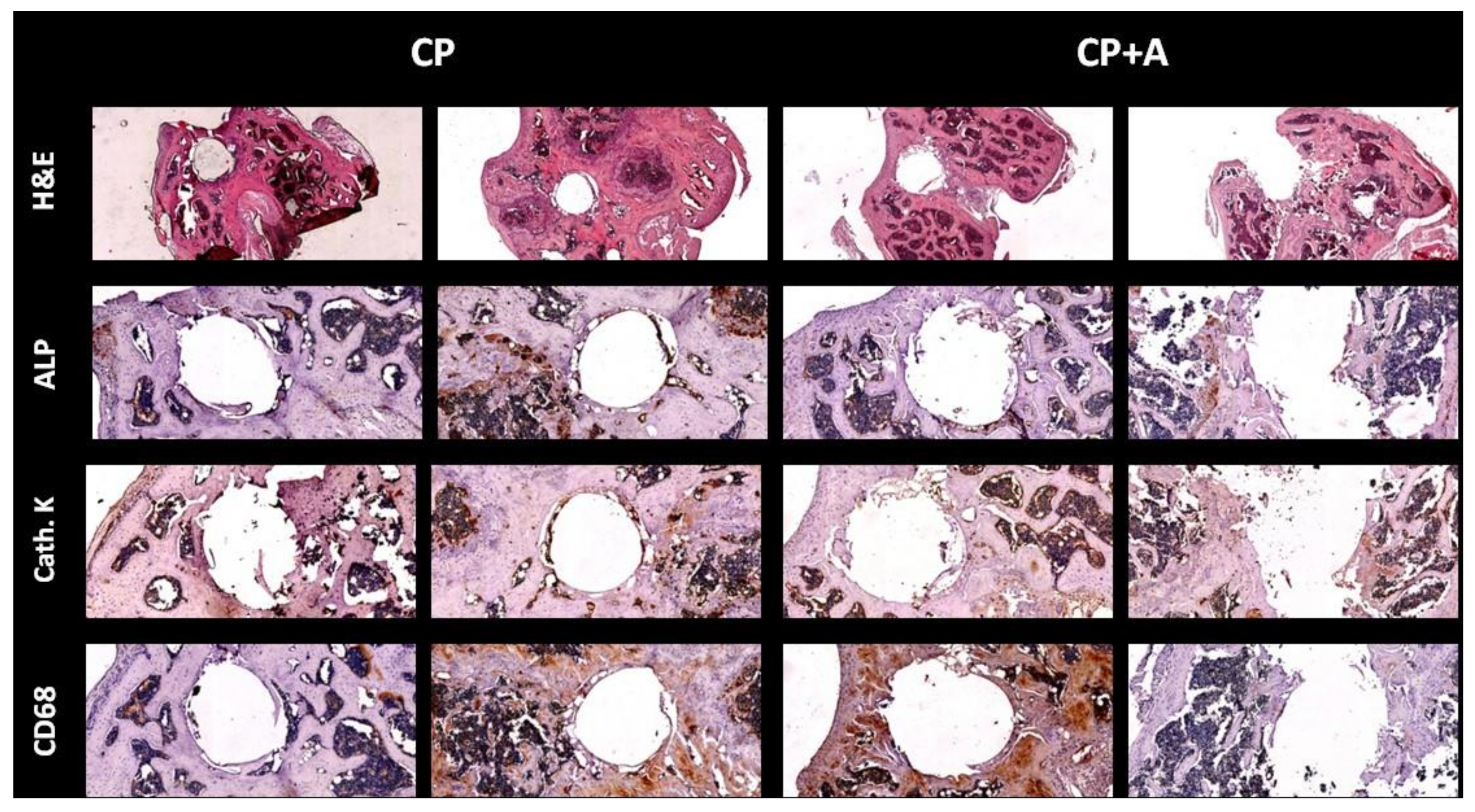 Antibiotics 10 00711 g008