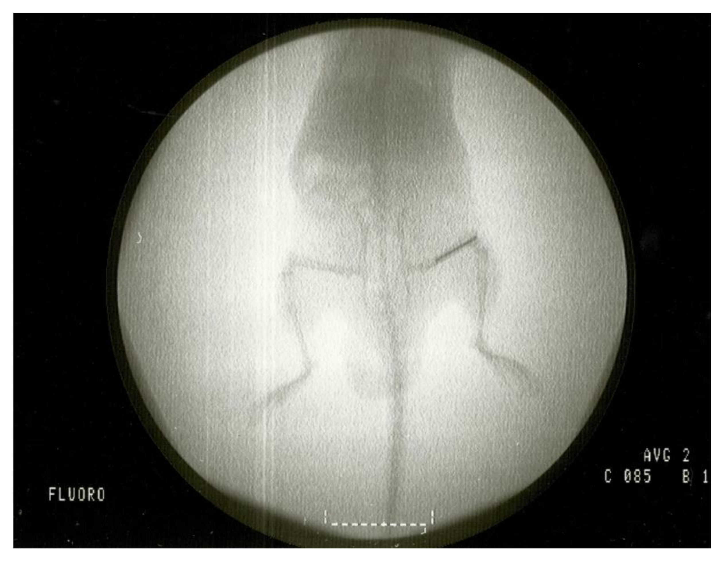 Antibiotics 10 00711 g010