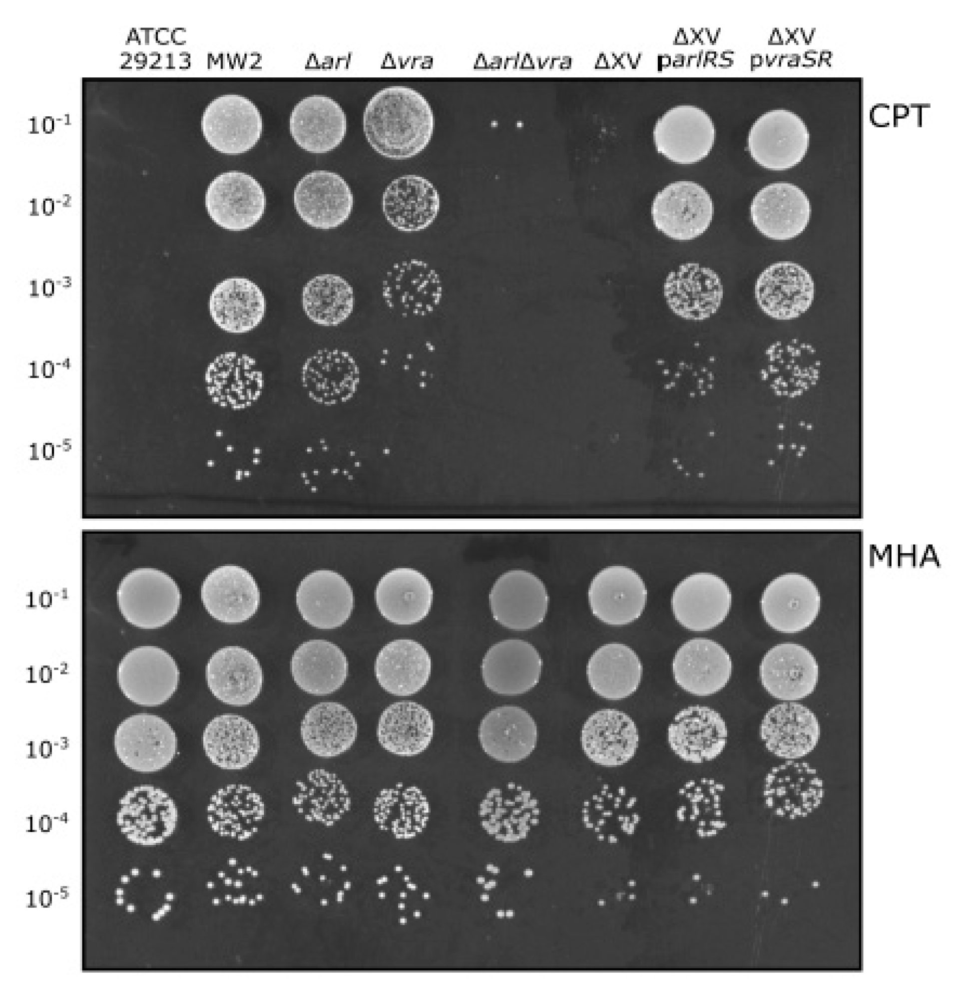 Antibiotics 10 00821 g002